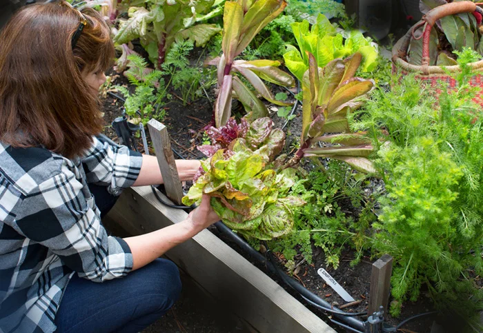 margie_gardening.jpg