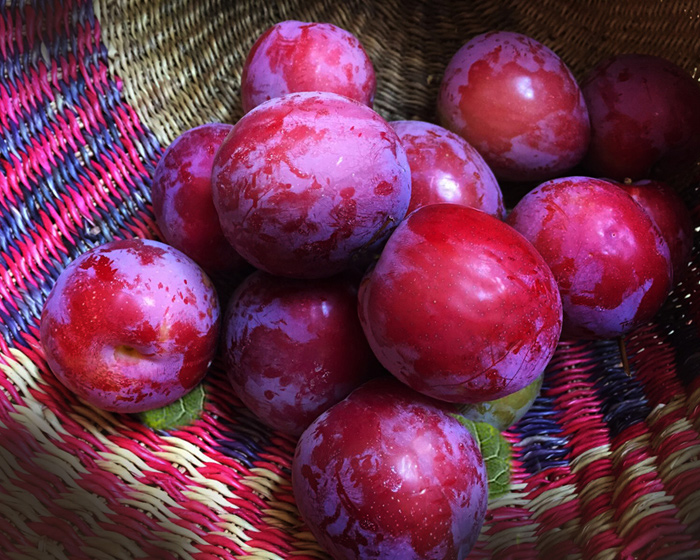 plums_basket.jpg