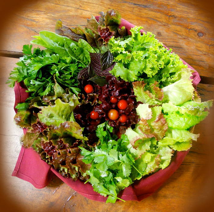salad.jpg