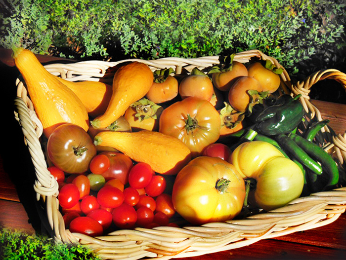 summer_harvest_veggies.jpg