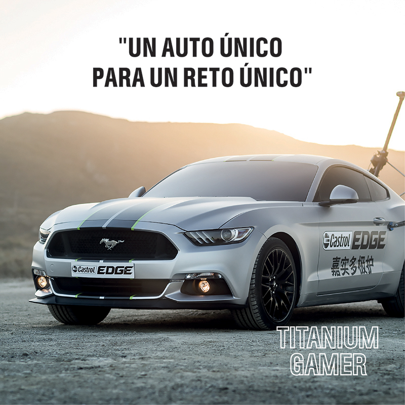 NFS Wall for Portfolio_3.jpg