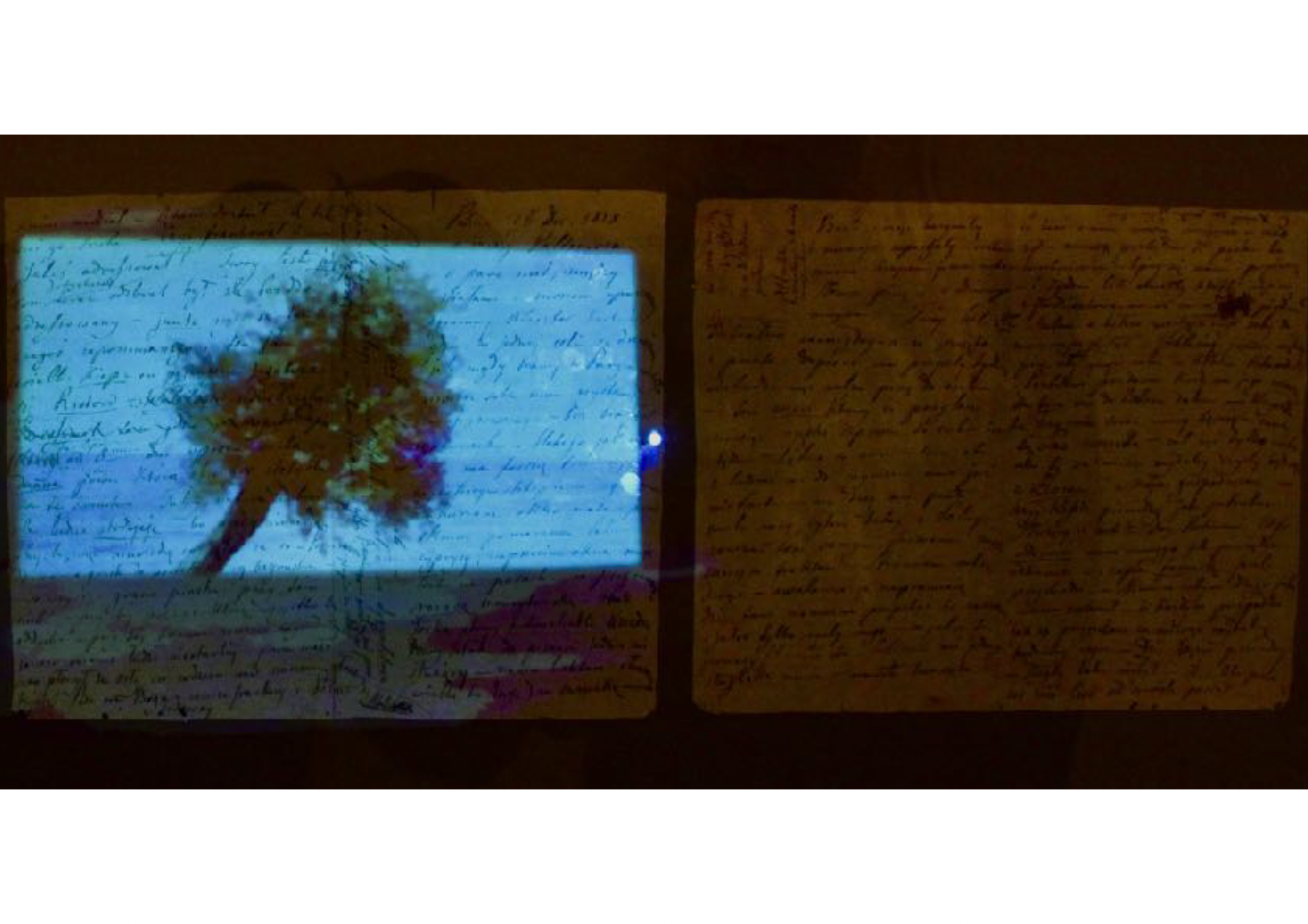 OLIVE SCRIPT.png