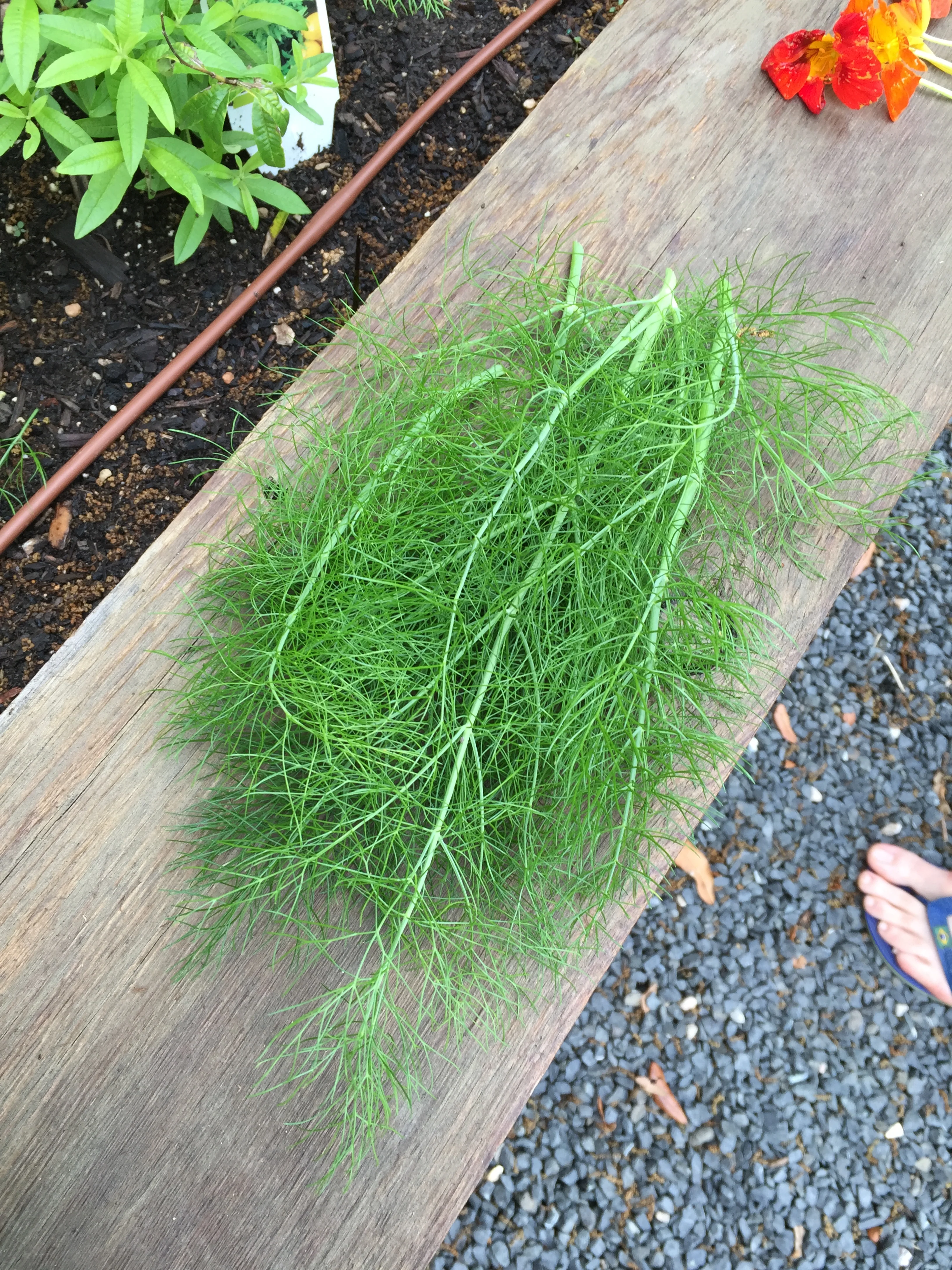 Shinsei Restaurant | Rathbun Organic Garden