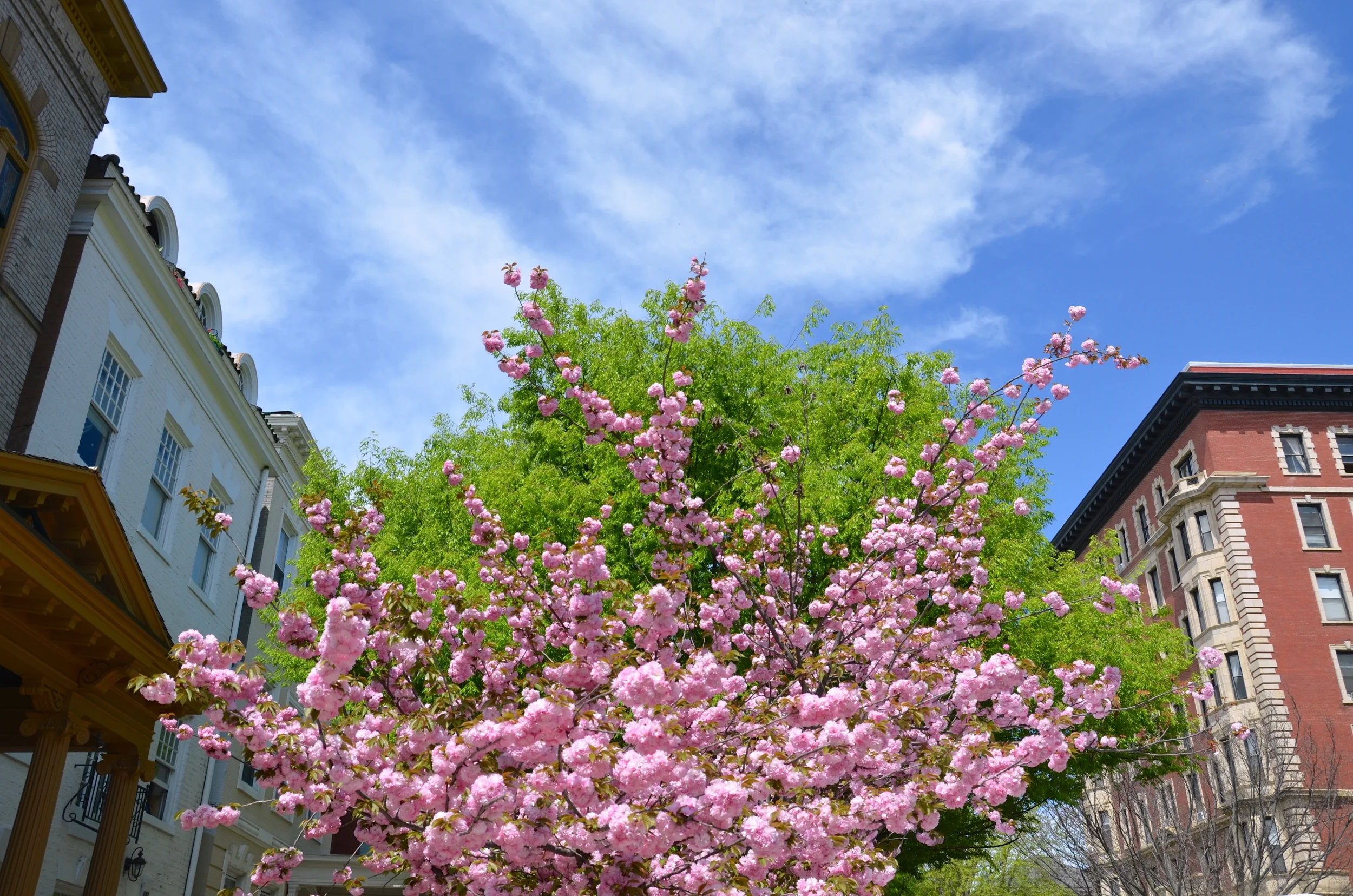 Spring, You've Been Too Good to Me!