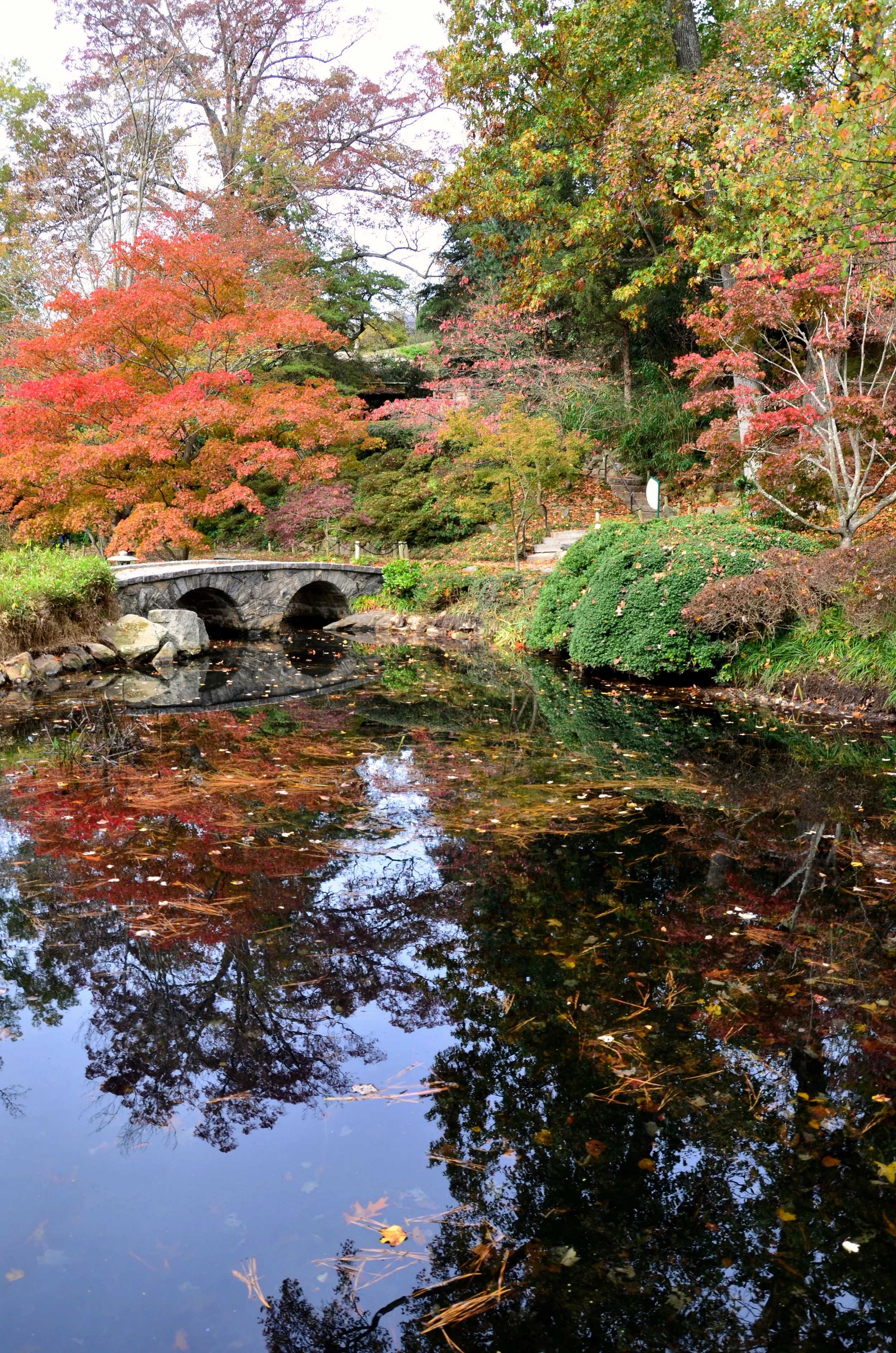 DSC_6202.jpg