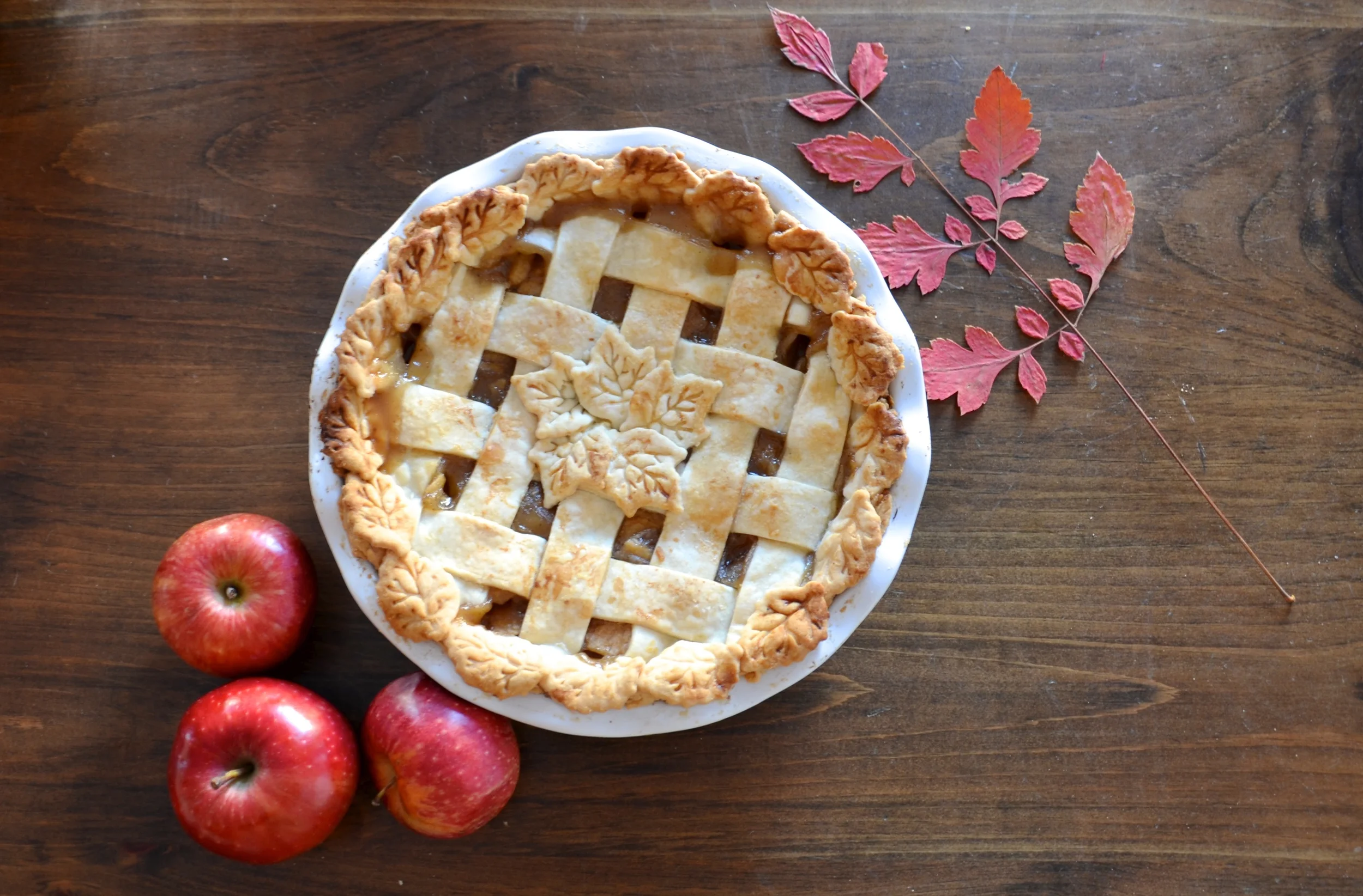 Happy Thanksgiving // Delectable Apple Pie — Breanna Spain Blog