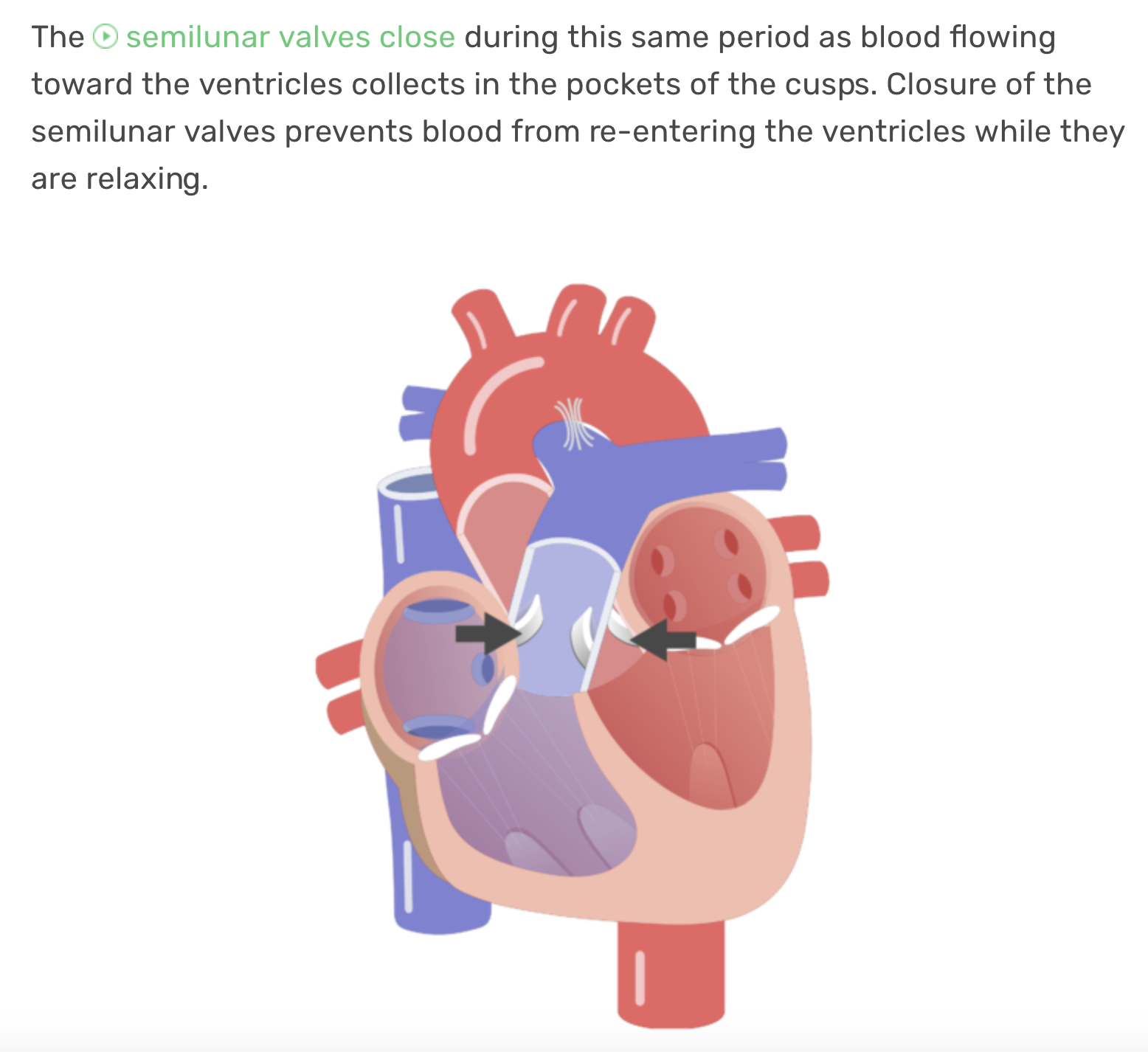 Screen Shot 2018-06-08 at 7.13.25 PM.png