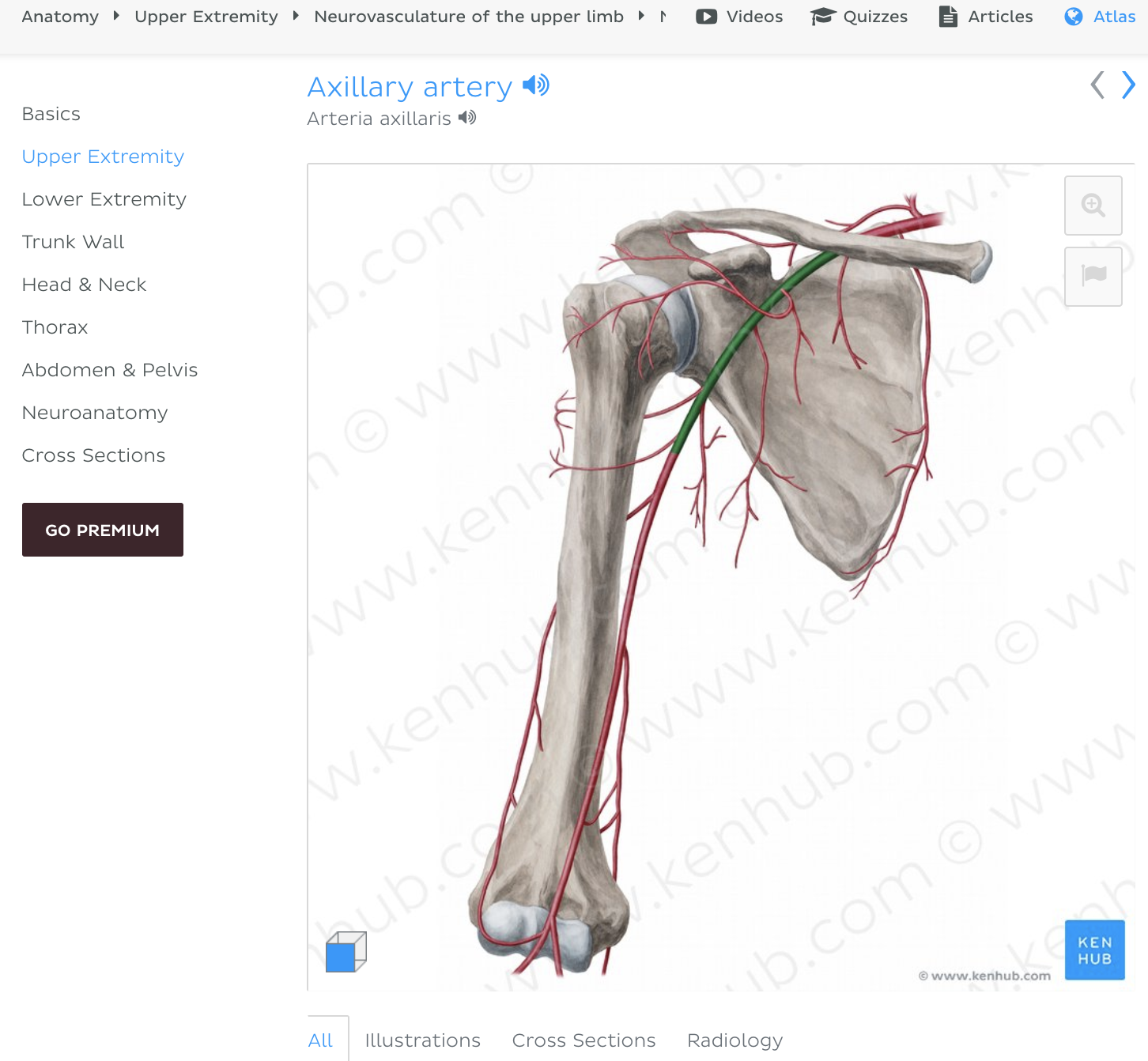 Screen Shot 2018-12-29 at 3.02.17 PM.png