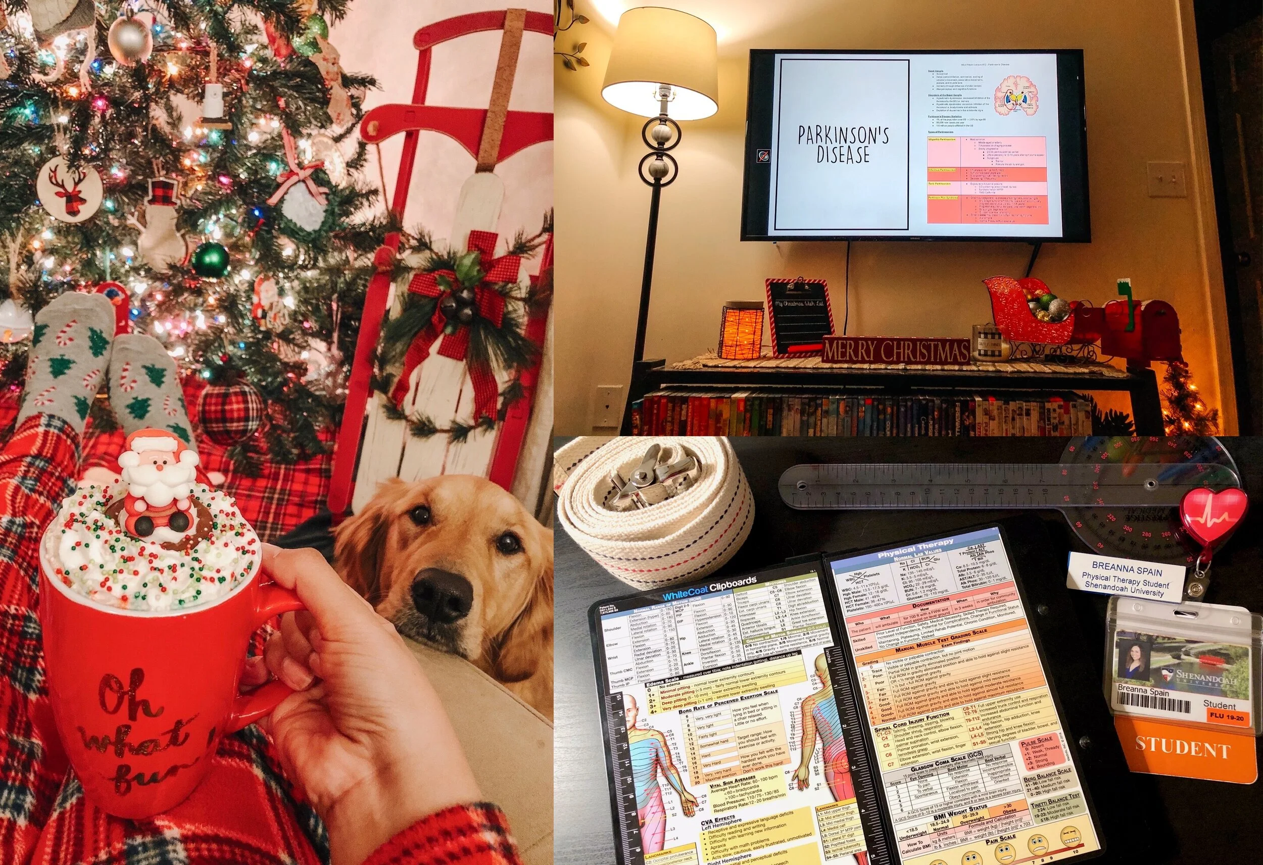 November Favorites // 'Tis the Season!