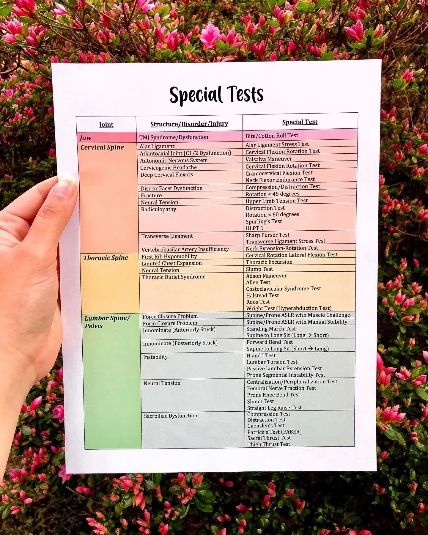 Alright y&rsquo;all &mdash; you know I love my tables!! 🤓 I love making tables to organize, condense, and group information together for studying and easy referencing! 🗒

My MSK classes were broken into three different parts &mdash; MSK I (UE), MSK