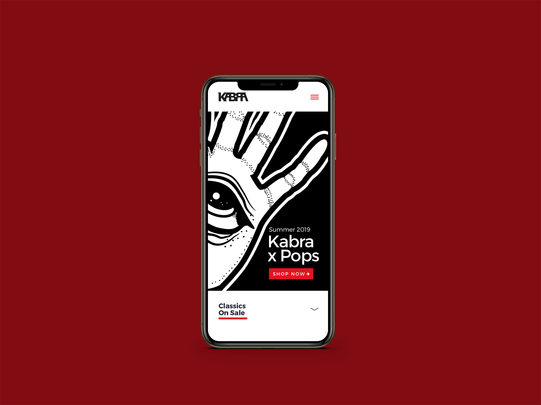 Kabra-Mobile---Mock.gif