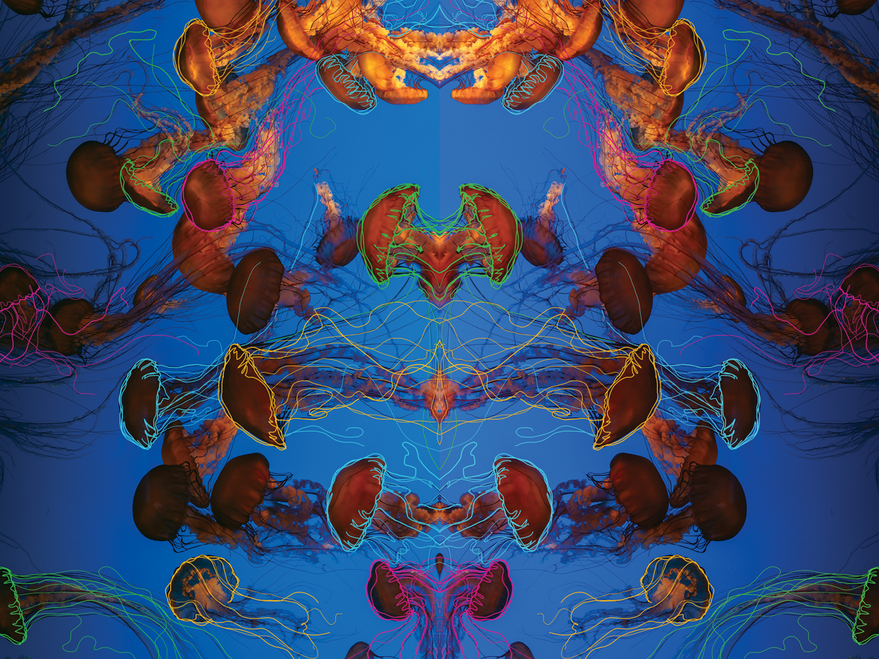 EurydiceBackdrop-klmxyz.png