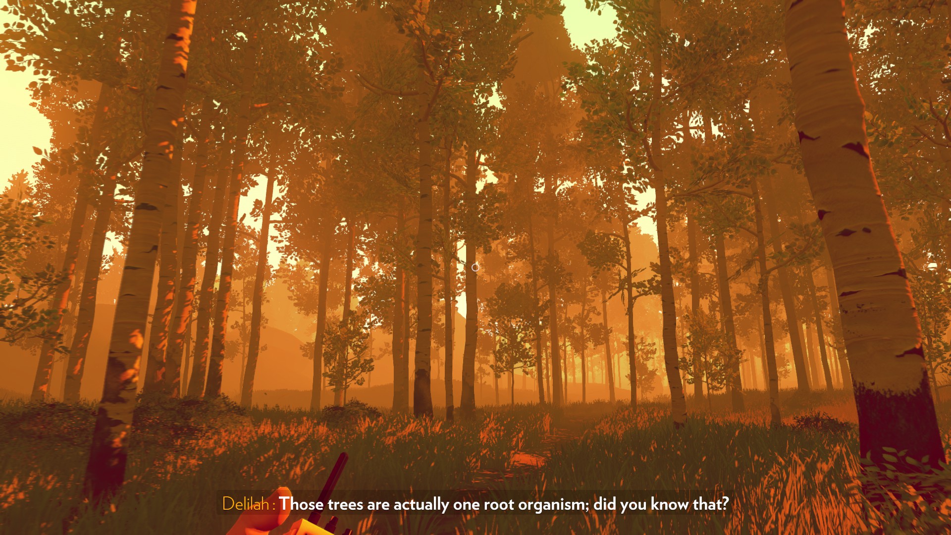 firewatch game wife disease firewatch game wife disease