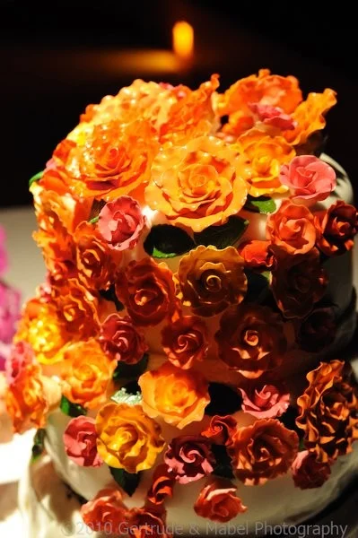 Cake 13.jpg