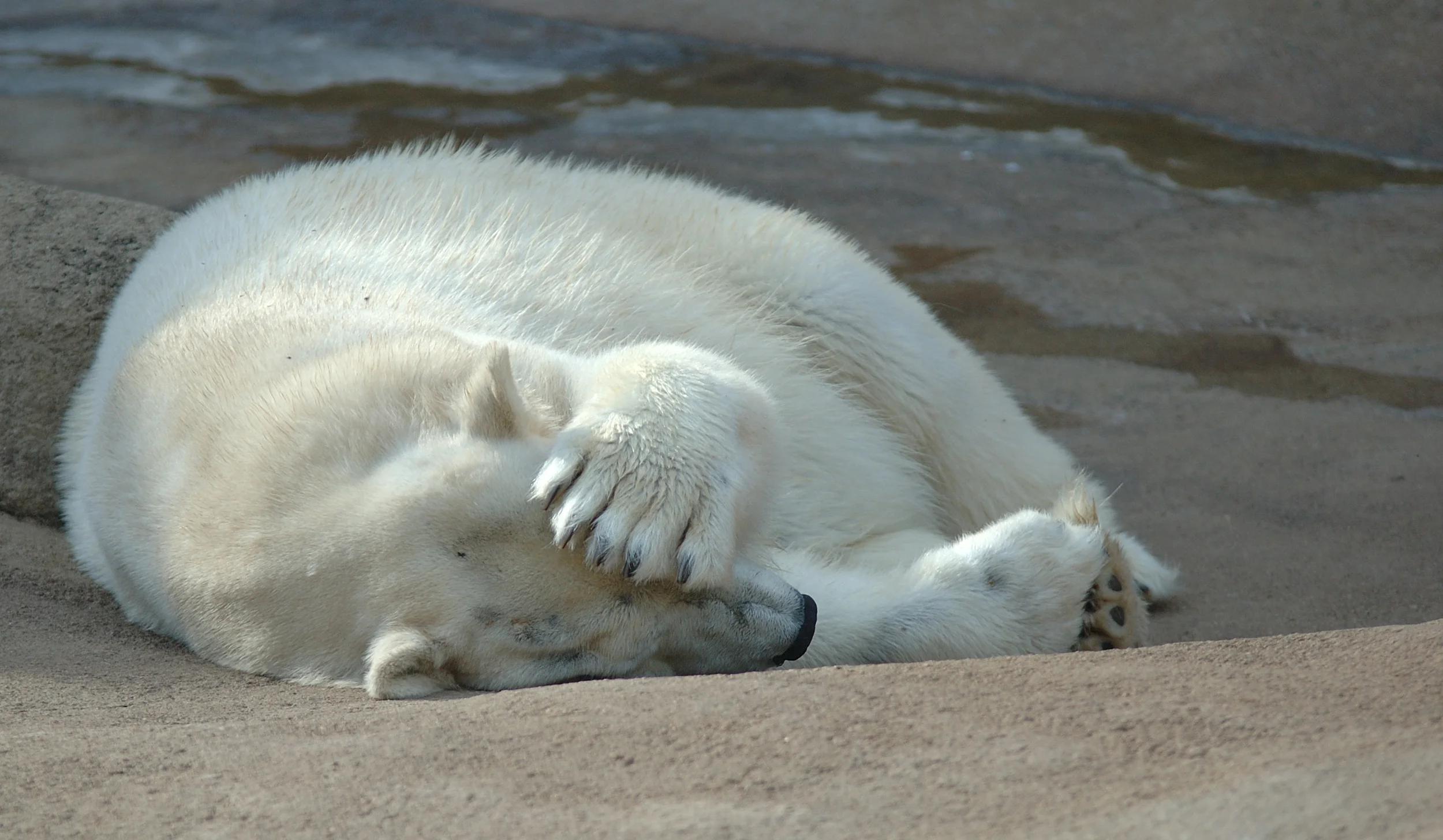 How I re-engineered Mondays to make them awesome.