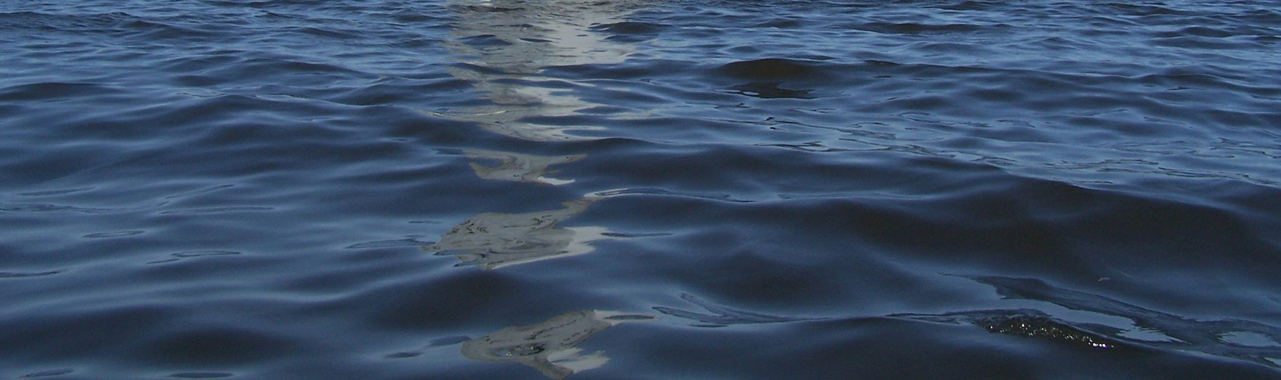 water.jpg