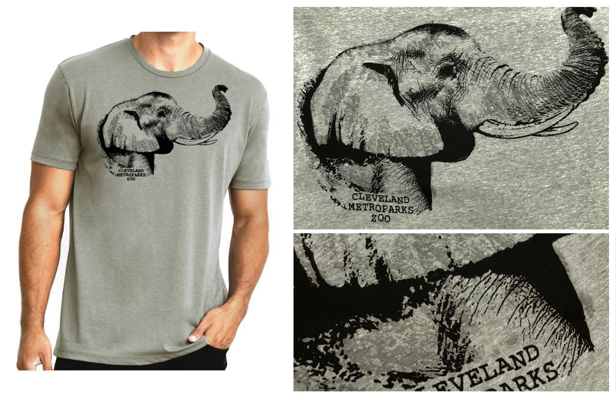 website assets_Gen2_Elephant Texture.jpg