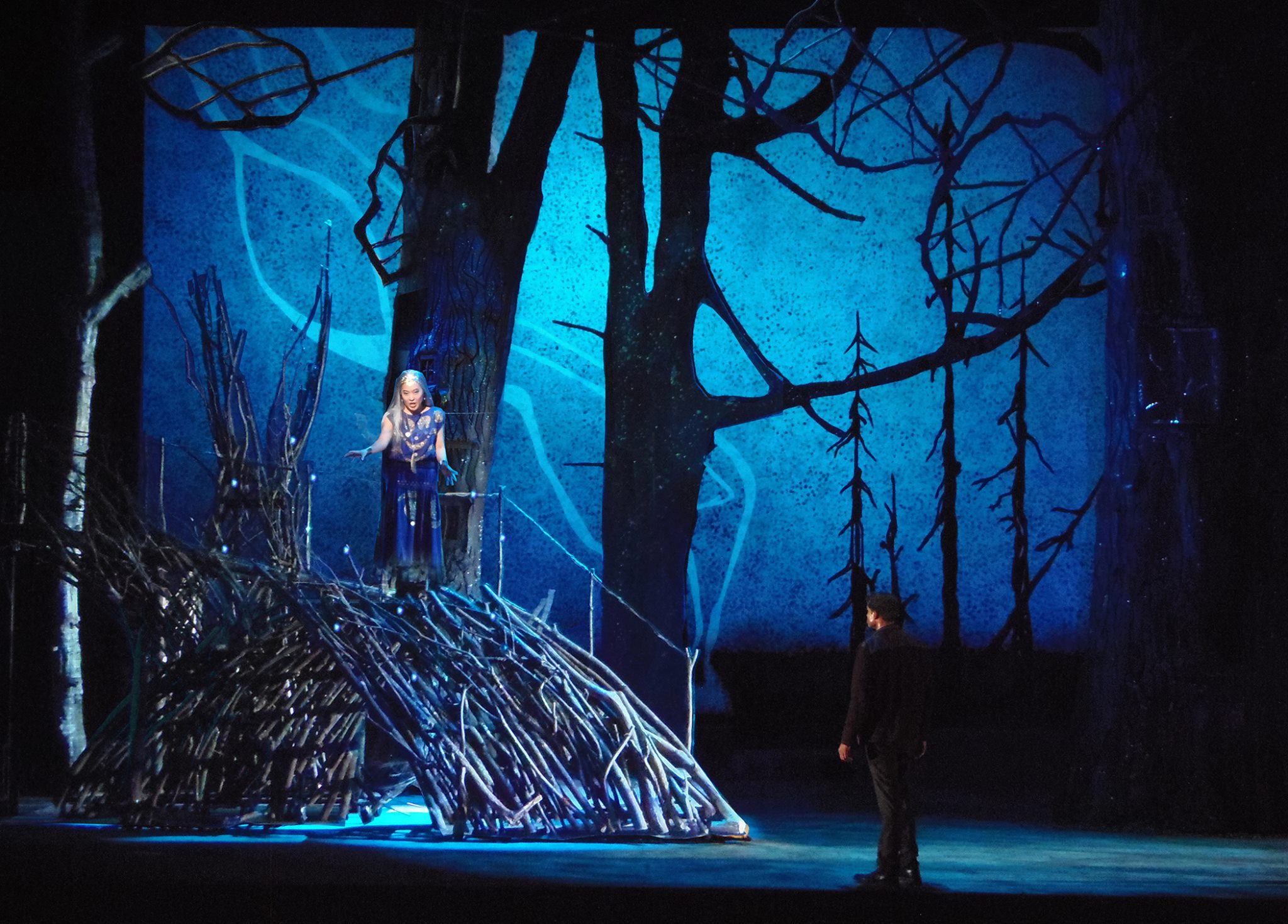 Queen of the Night, Magic Flute, The Glimmerglass Festival 2015