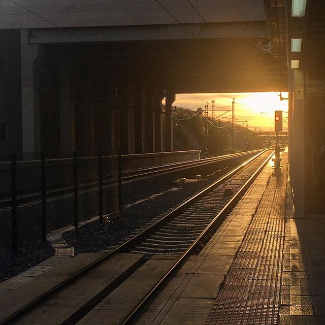 Life will change without our permission. It's our attitude that will determine the ride... •
•
•
•
#photography #photographer #photooftheday #spain #segovia #ave #vias #train #trip #life #lifequotes #changeslives #sunset #sunsetporn #contraluz #jj_daily #instamoments #instadaily