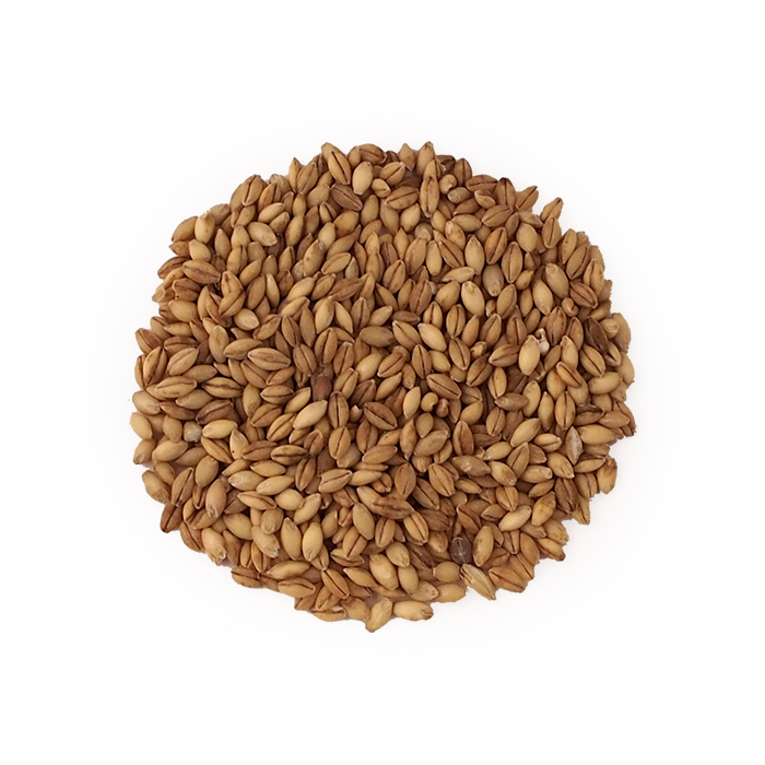 BARLEY