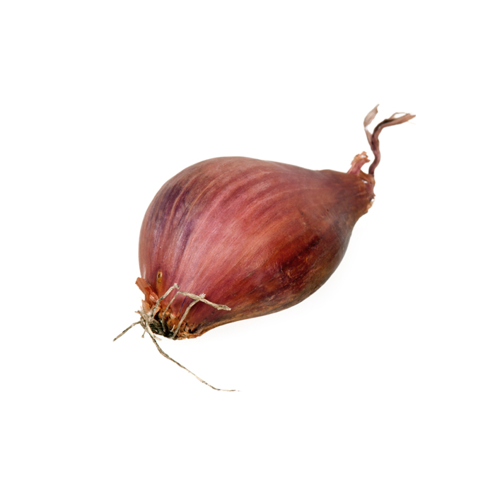 Shallot.jpg