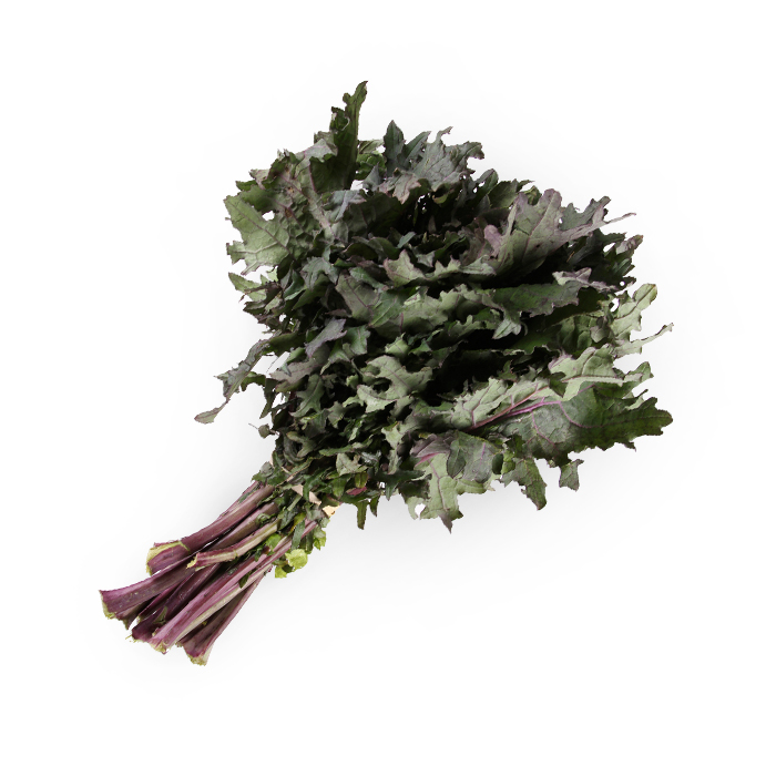 Purple Kale.jpg