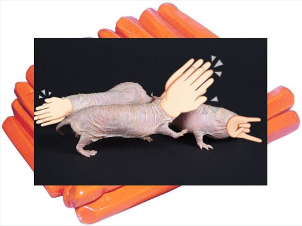 14.png