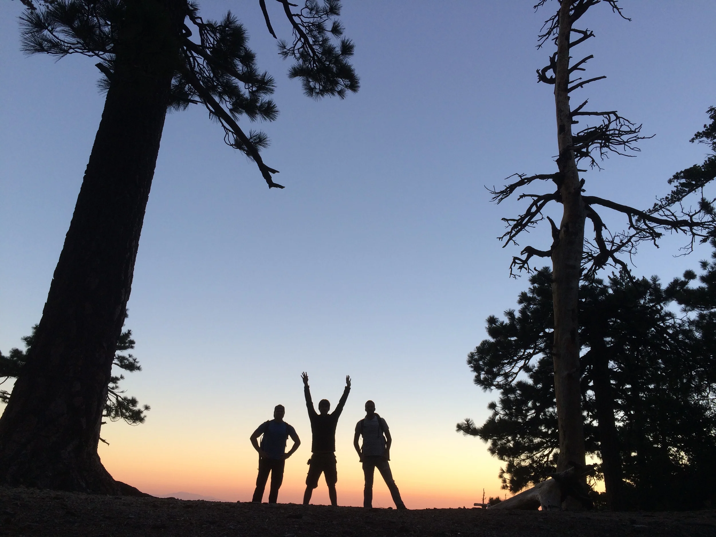 Peace in Nature