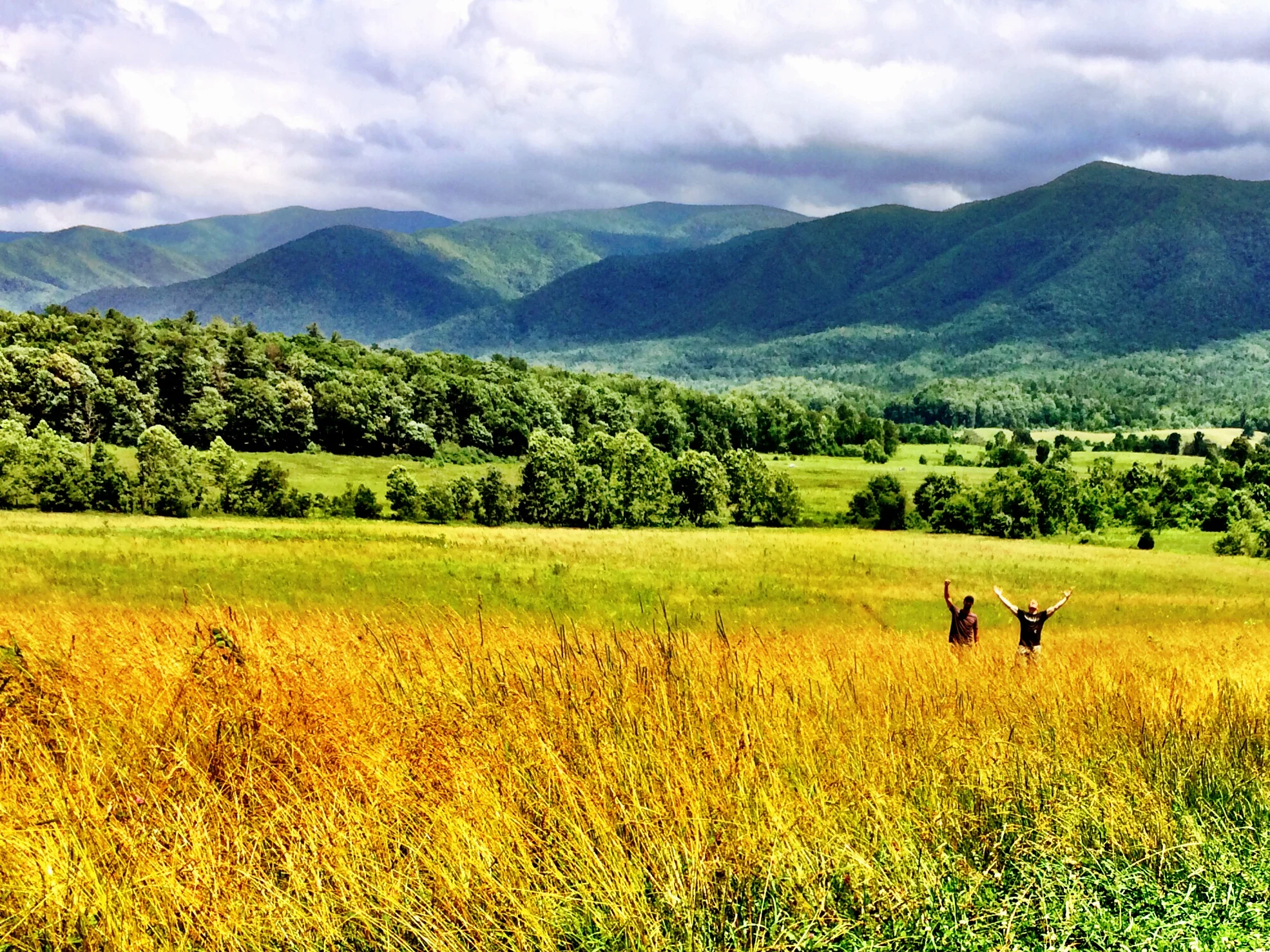 Stop and Smell the Roses