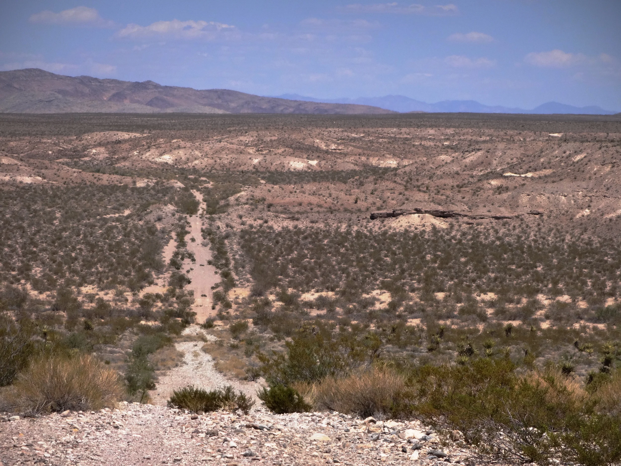 Saying YES to Adventure