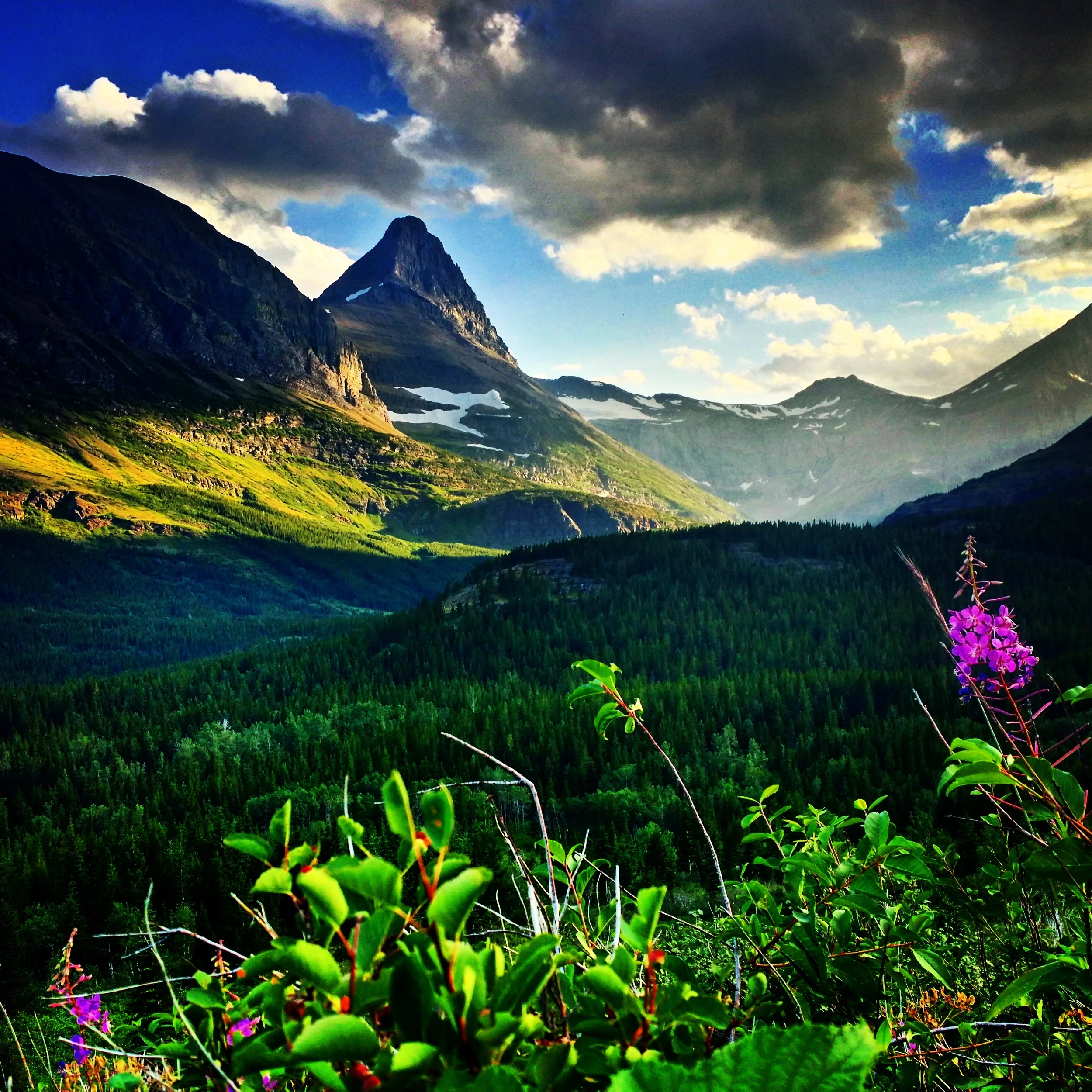 Let's Try Something New