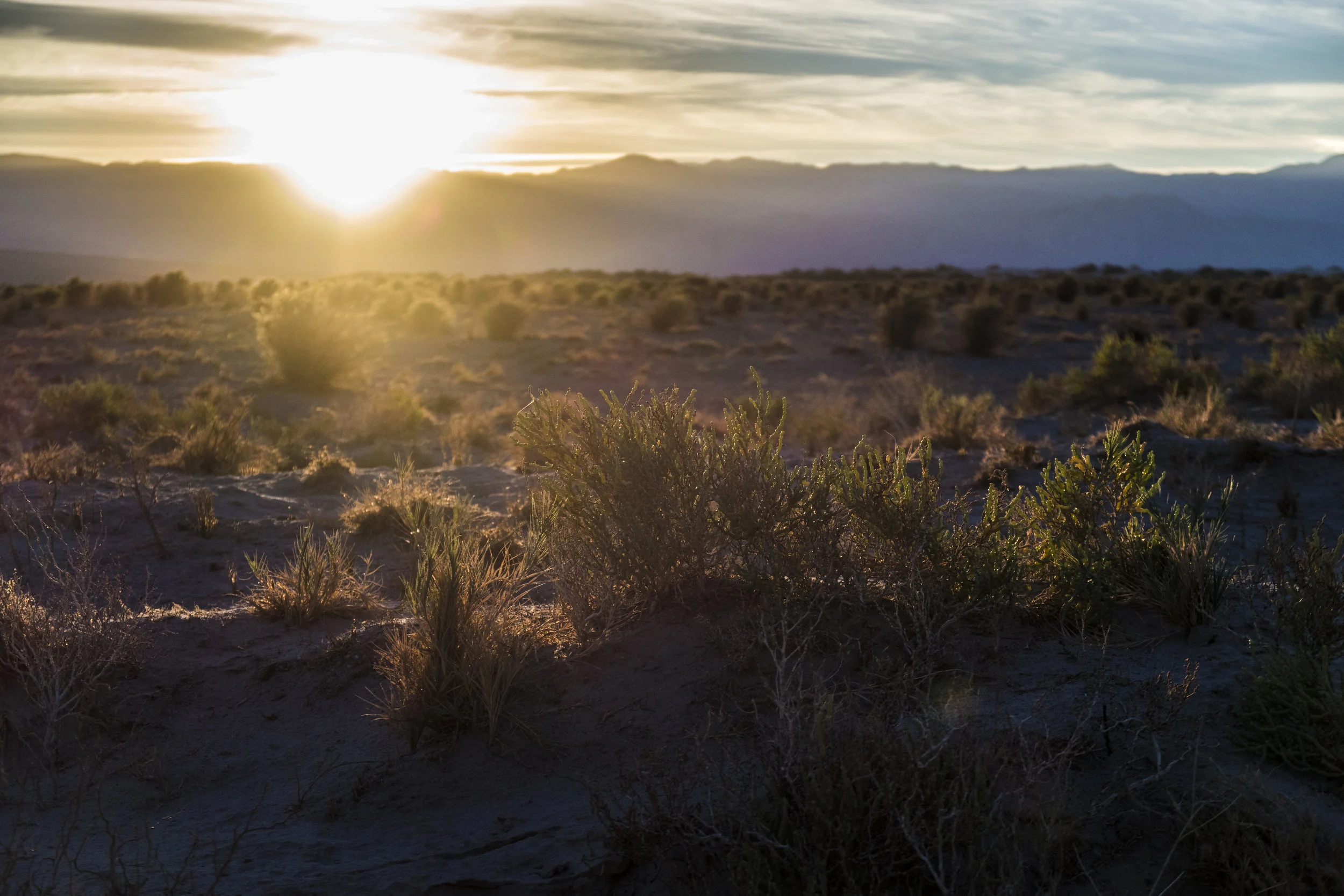 A Spirit of Simplicity