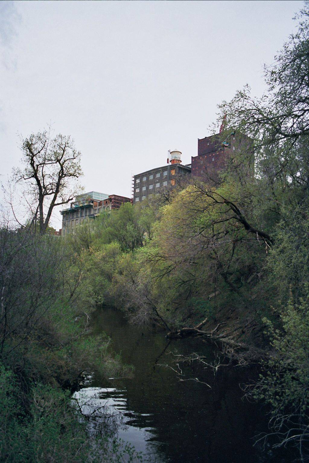 34A_0054.jpg