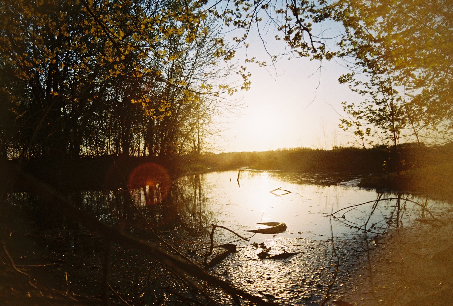 R1-08744-003A.jpg