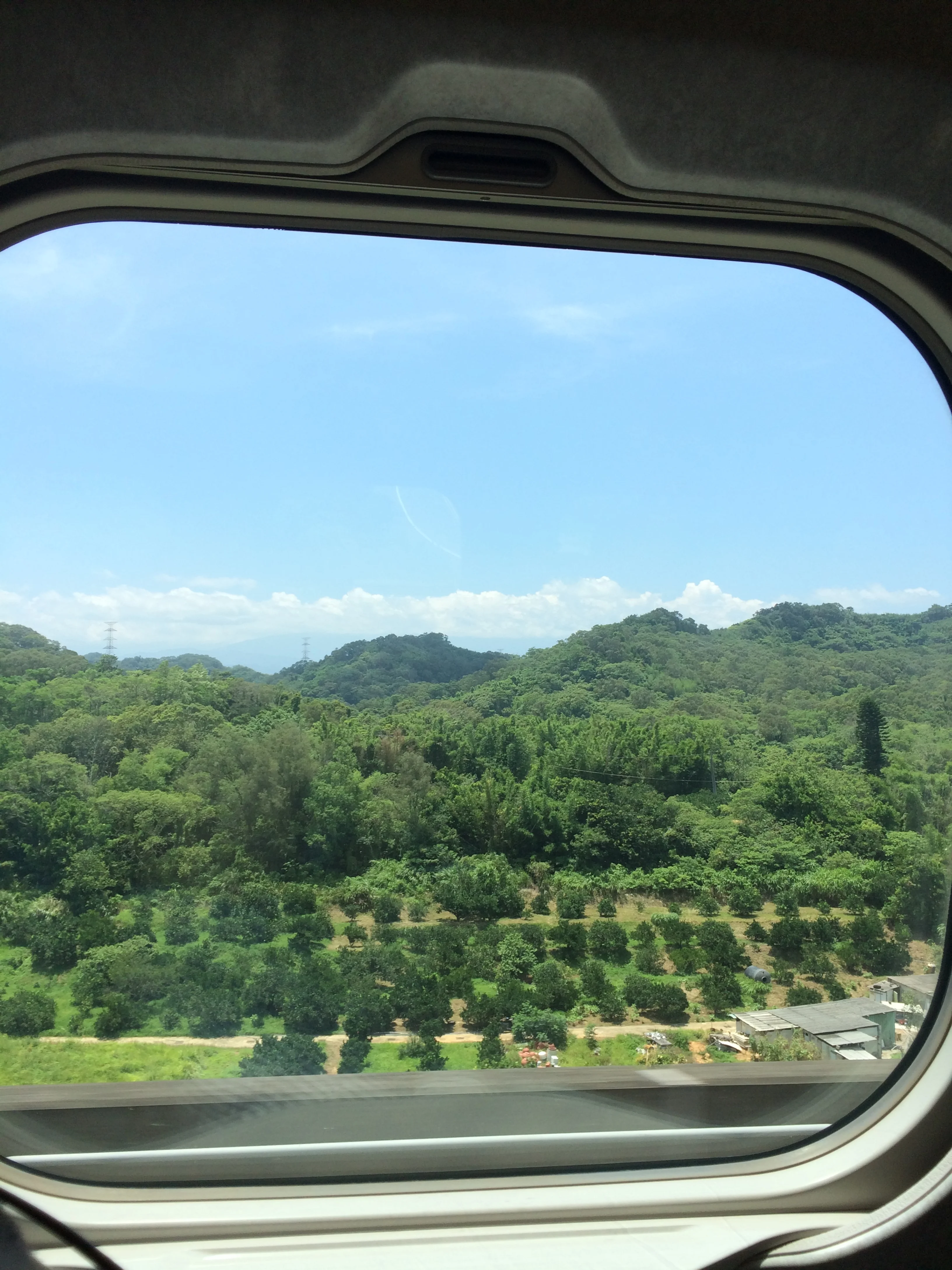 Here's the view from the bullet train. We by lots of greens. 