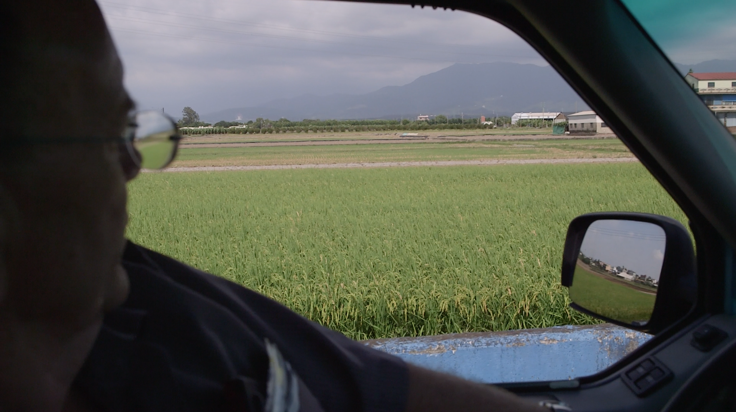 Rice Field! Mr. Harbour told me that his friend counted how many grains of rice were on an average rice plant which comes out to be about 100. He then made the analogy of rice producing 100 times more fruit of itself as how many offspring we can make for the Kingdom of Heaven through the Holy Spirit! 