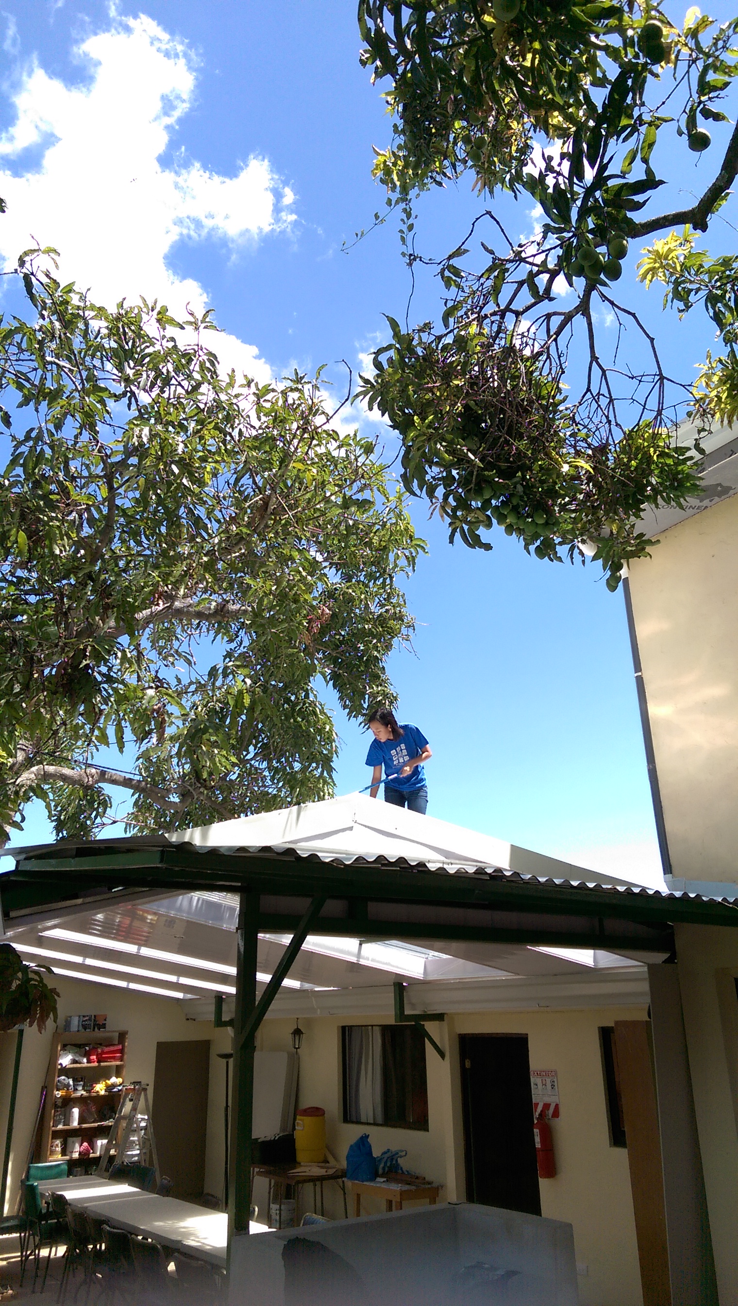 Karina painting the roof