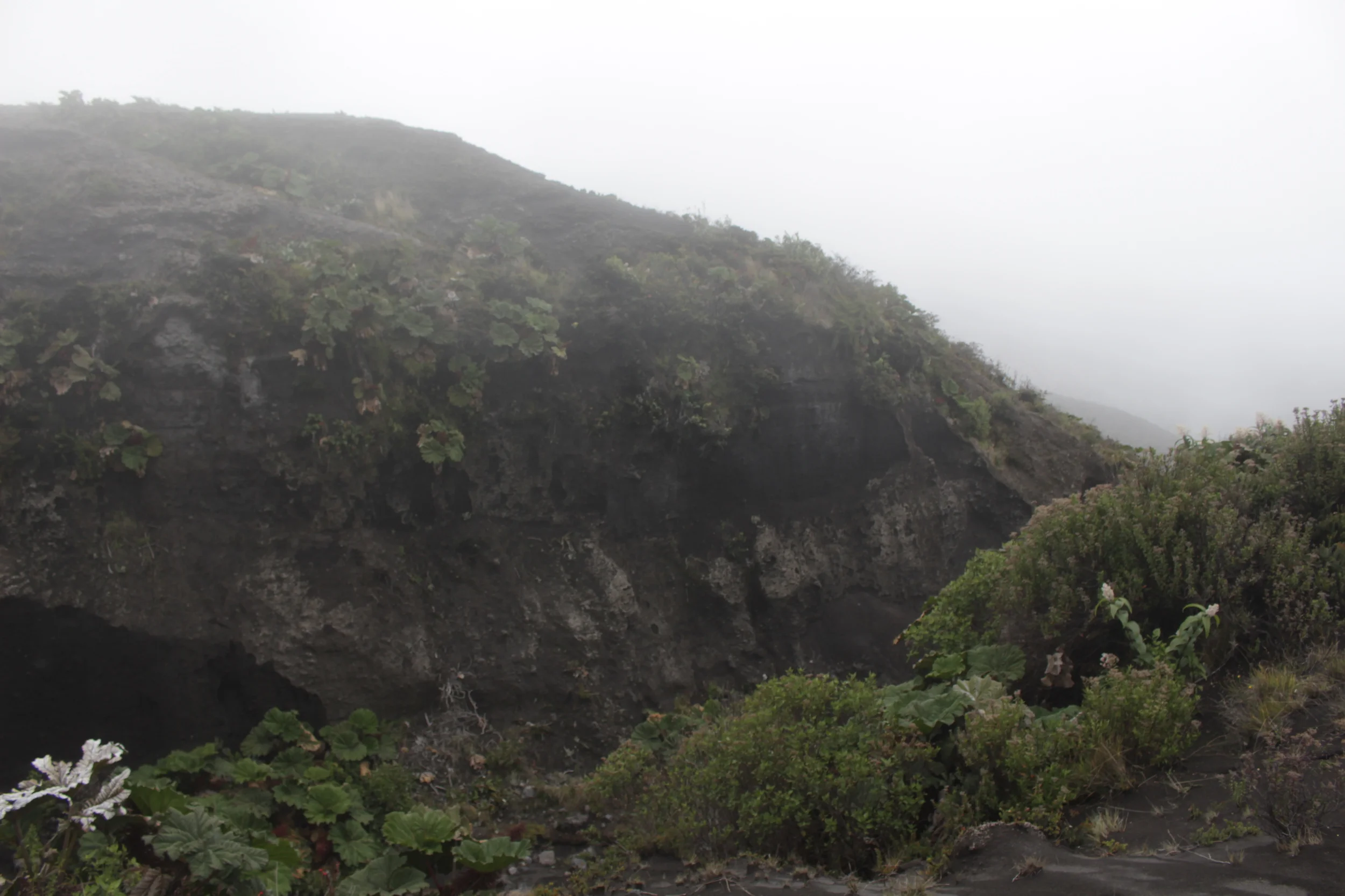 Costa Rica STM Day 2 - Paid in Full