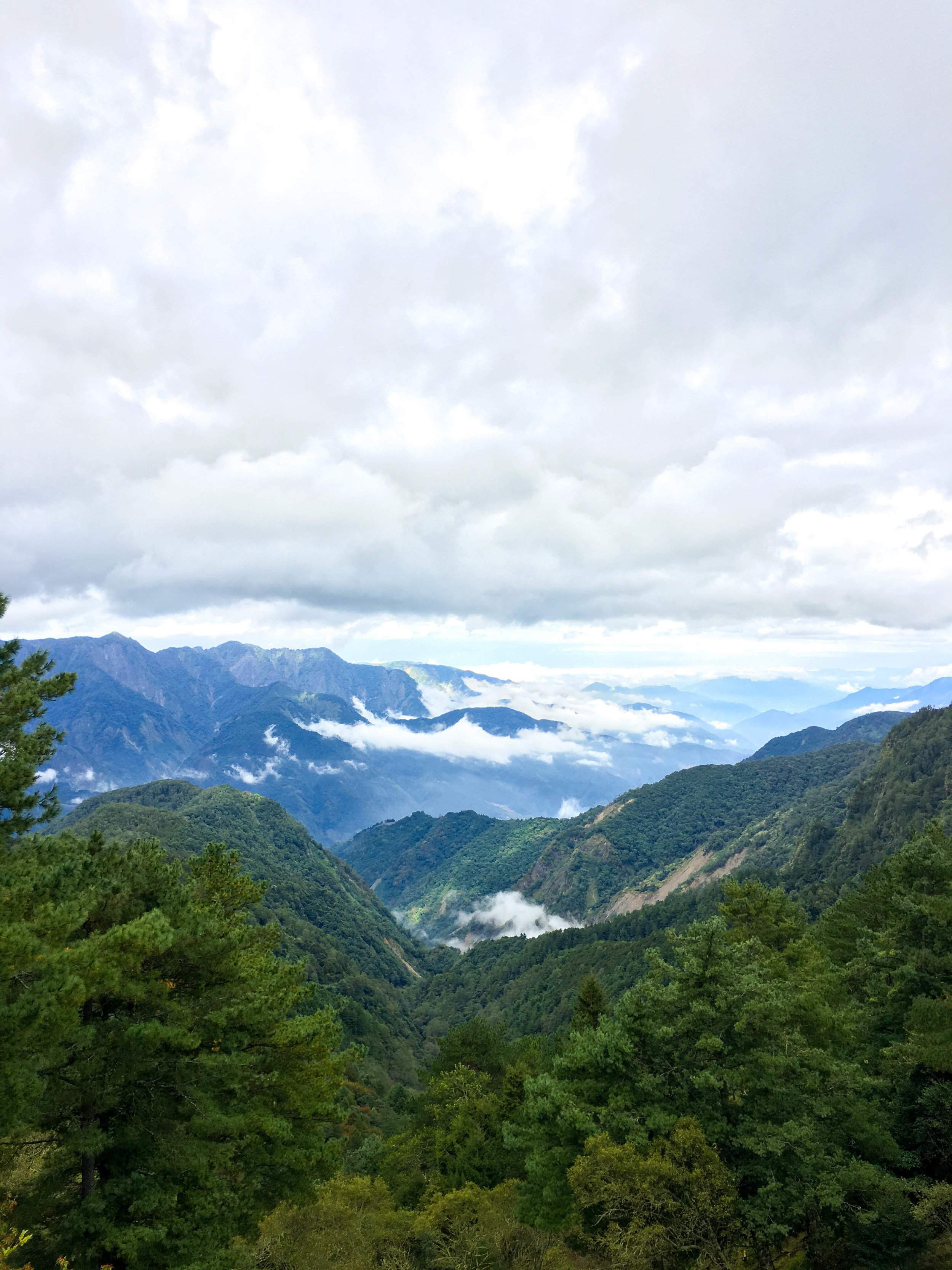 Mt. Alishan viewpoint