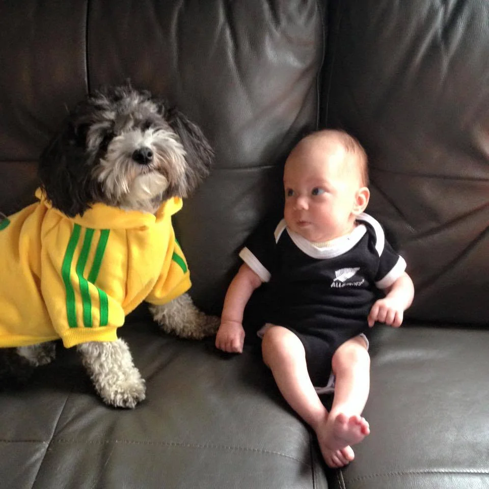 RWC FINAL: All Blacks vs. Wallabies at THE HUB