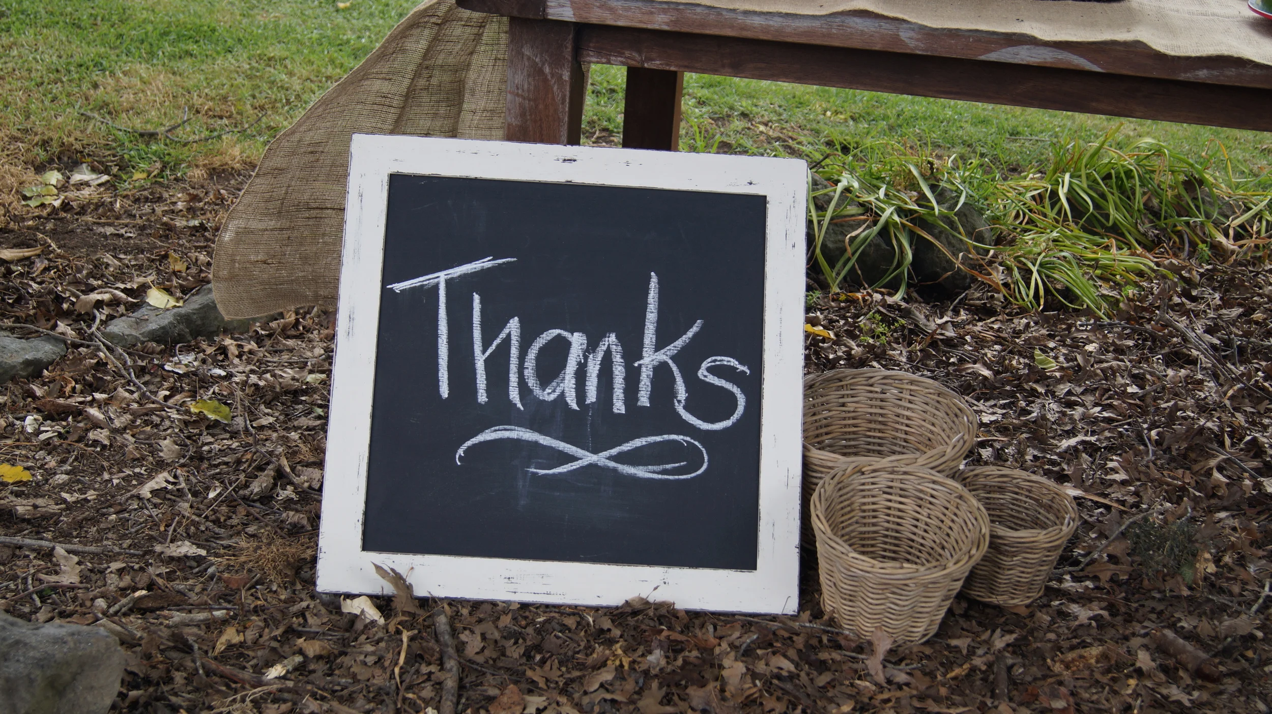 Volunteer Thank You Night