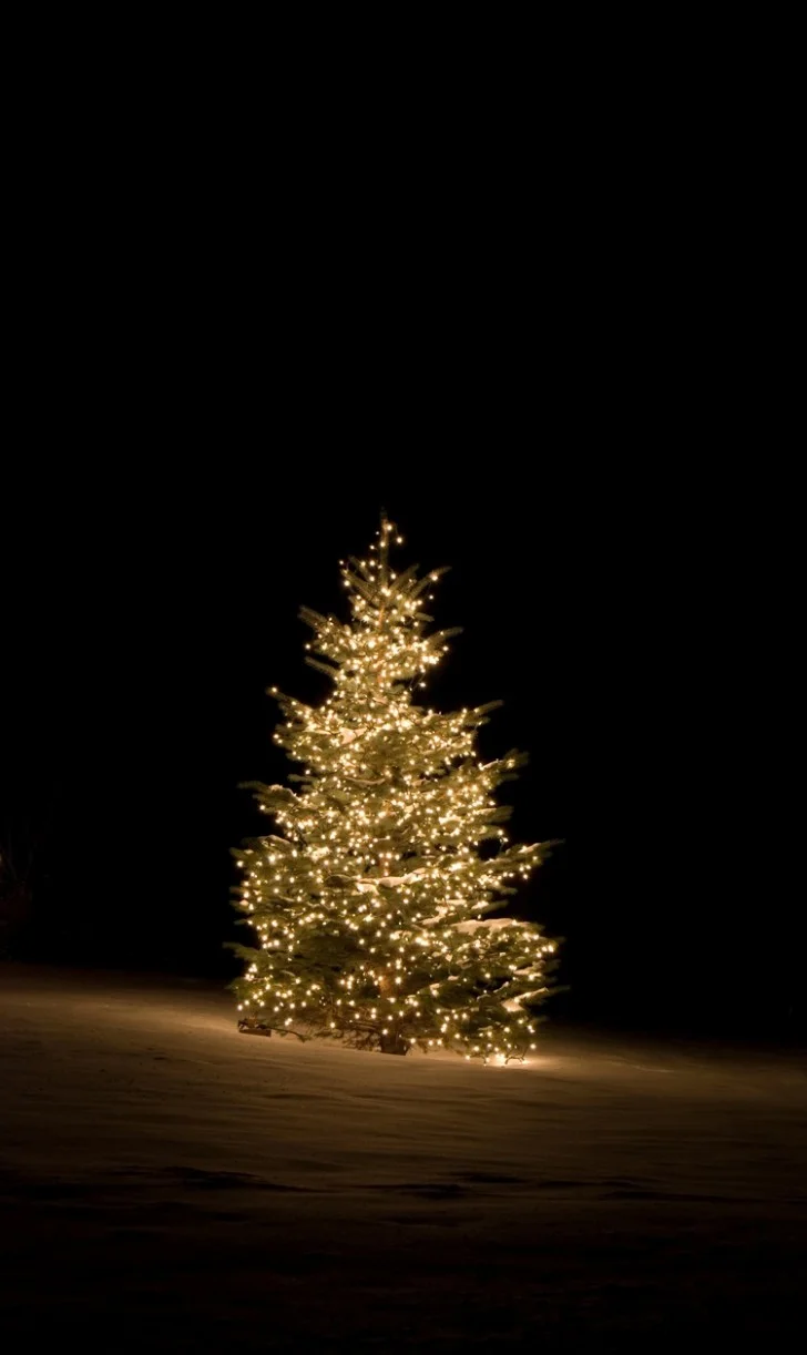 Christmas Eve Family Service