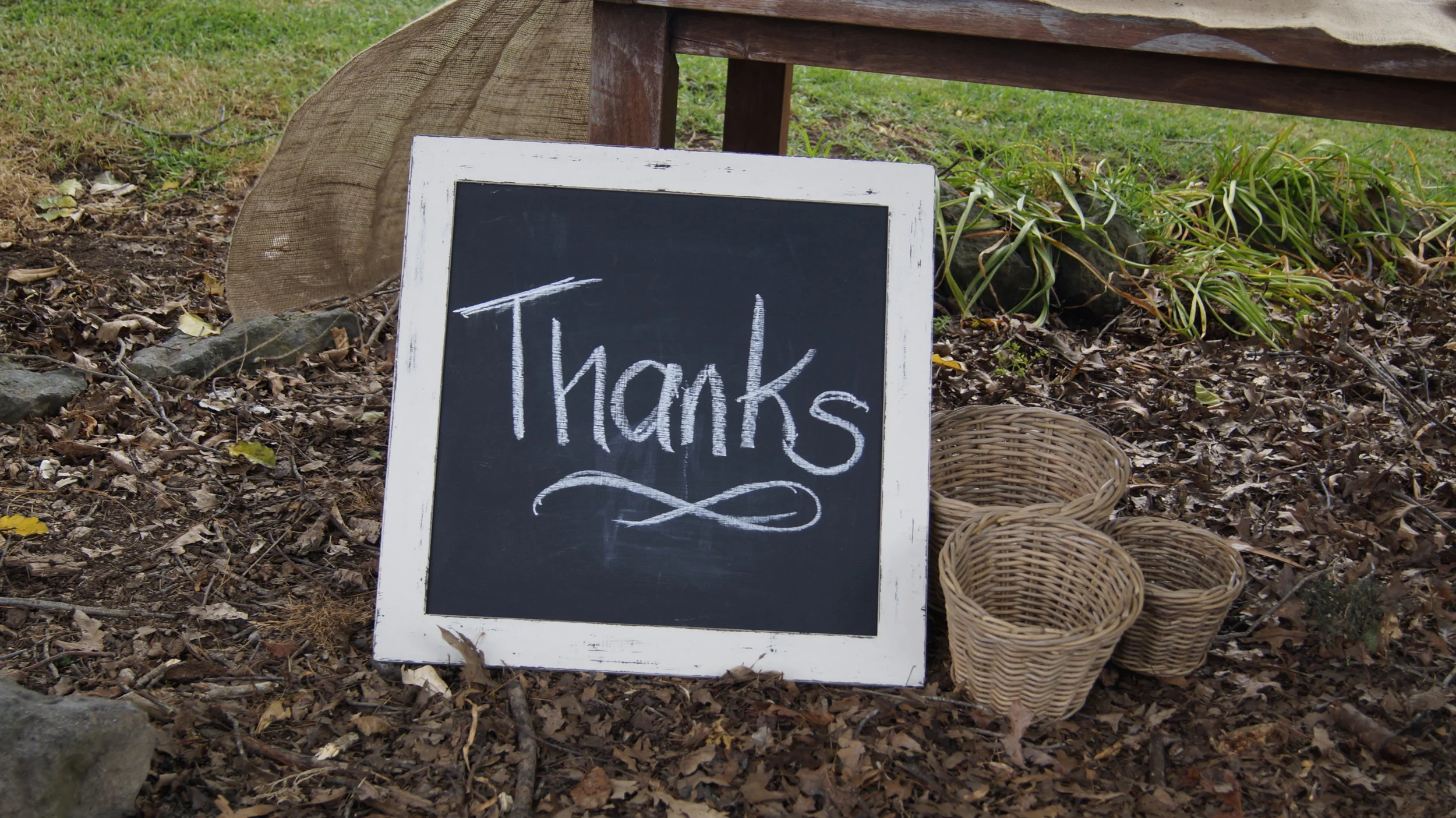 Volunteer Thank You Party