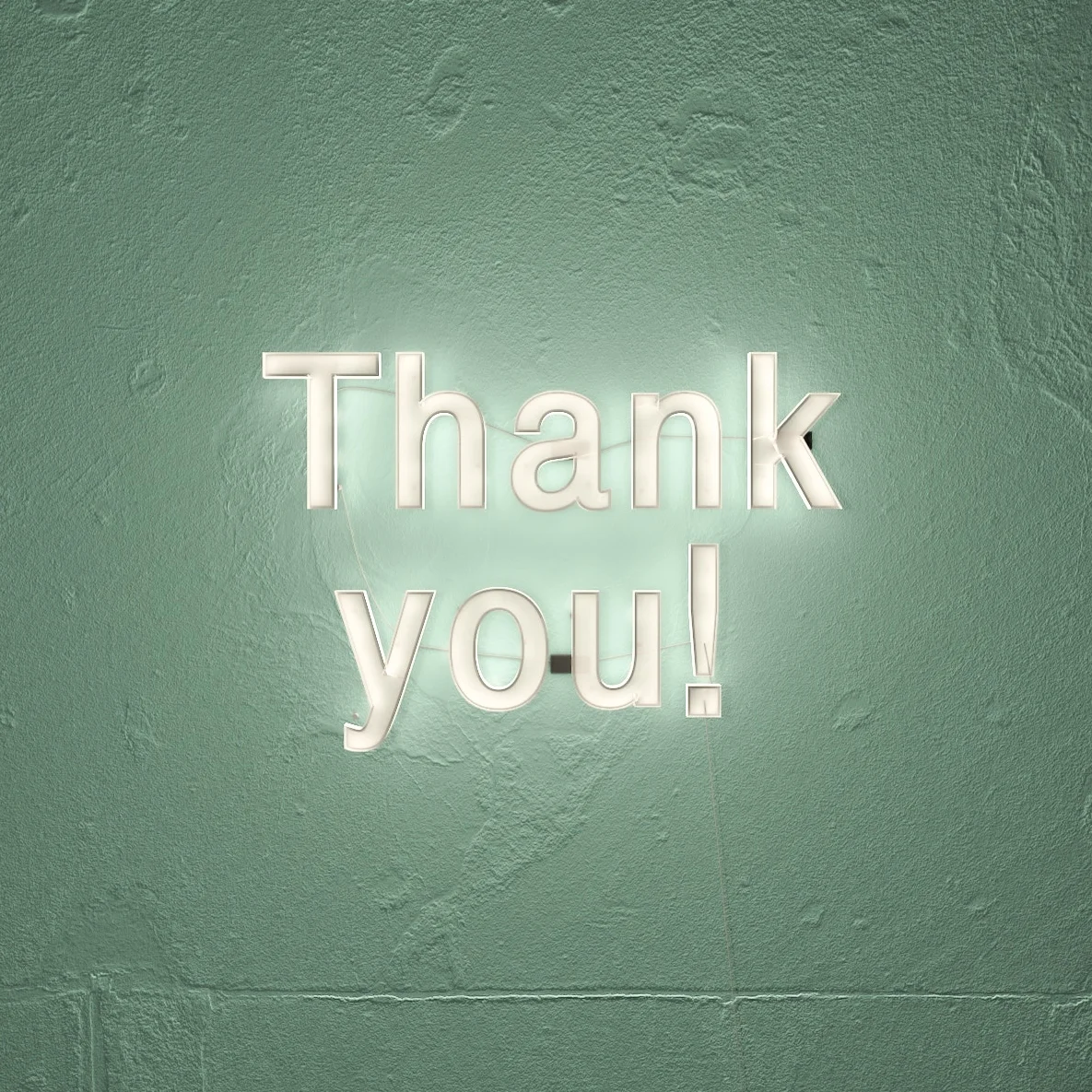 Volunteer Thank You Party