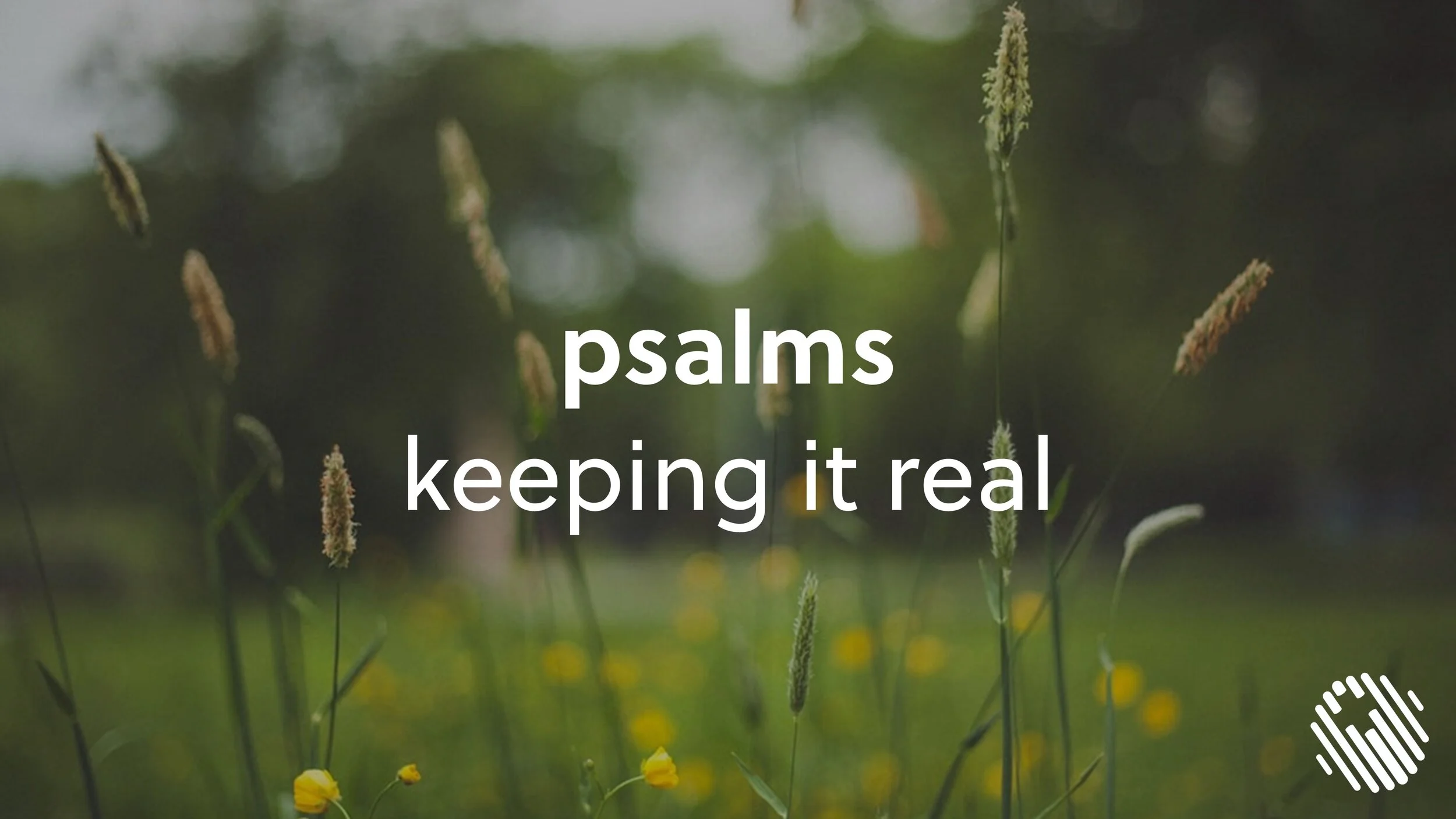 Psalms - Let's Worship - Matt Lilly