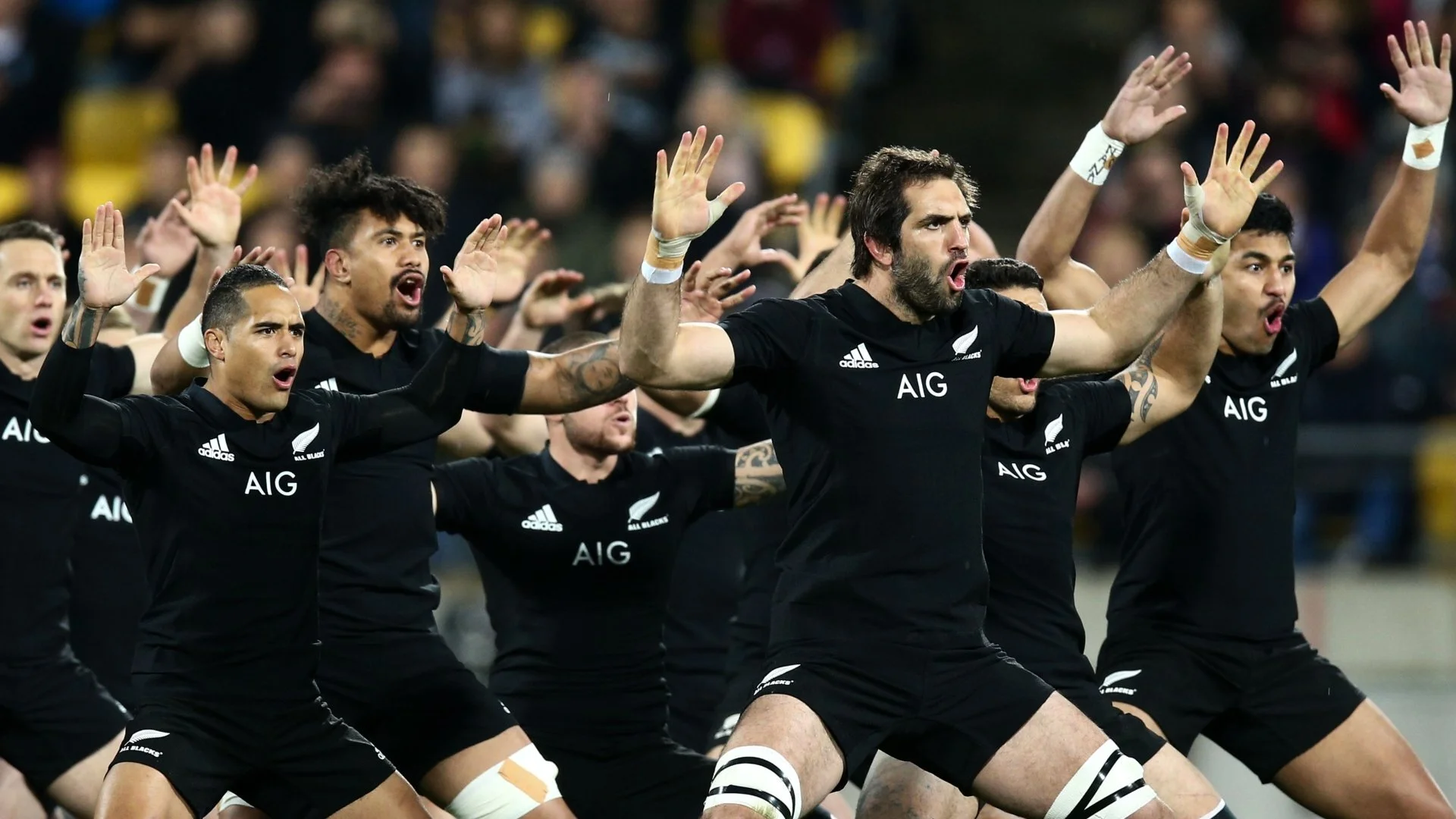 Rugby Party - All Blacks v Argentina