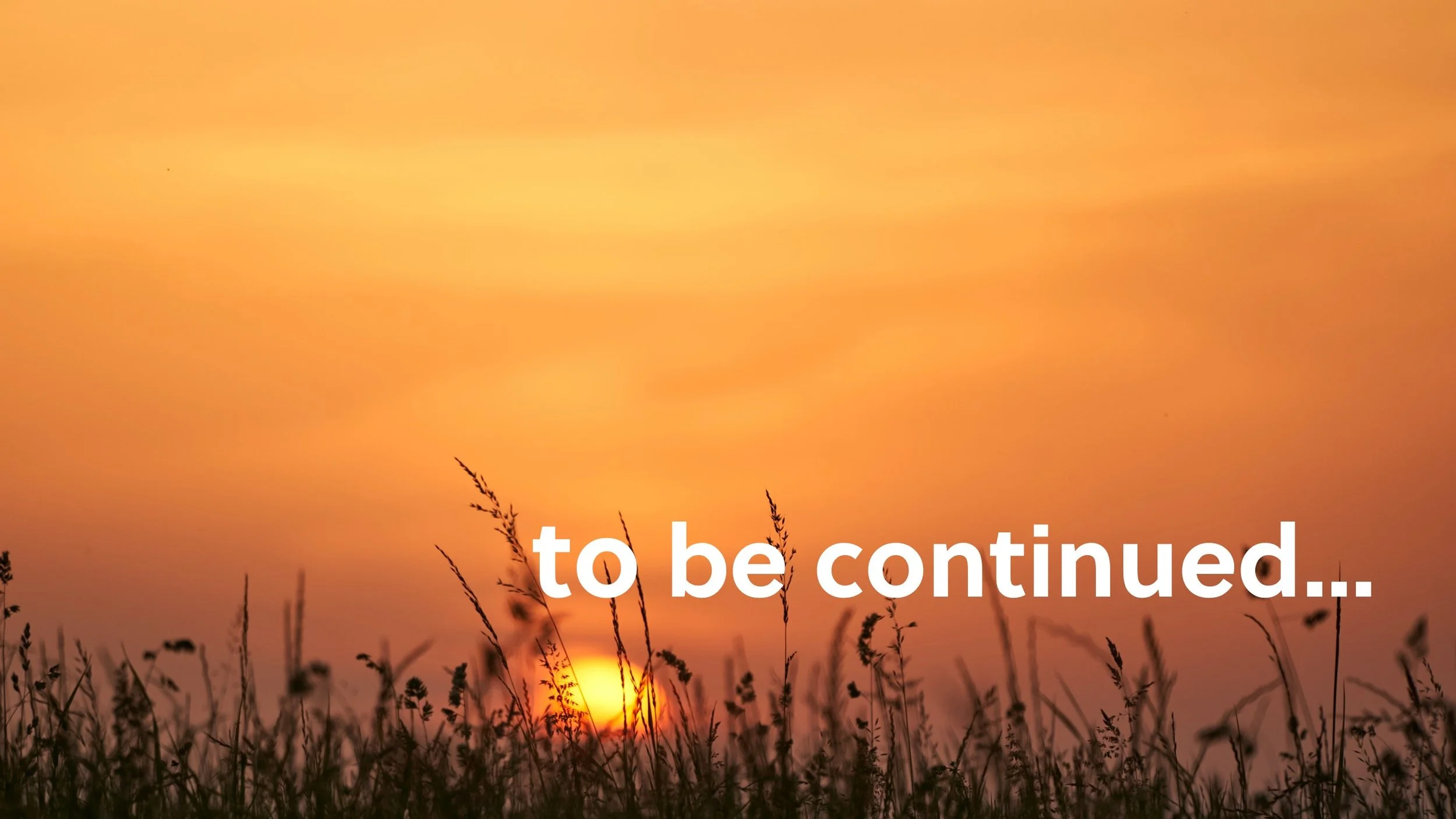 to be continued... - Lyndon Reiff