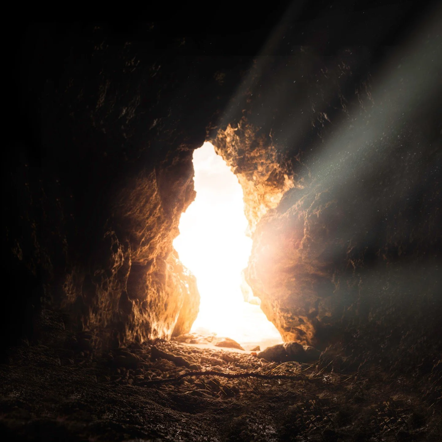 resurrection | Stanley Ross