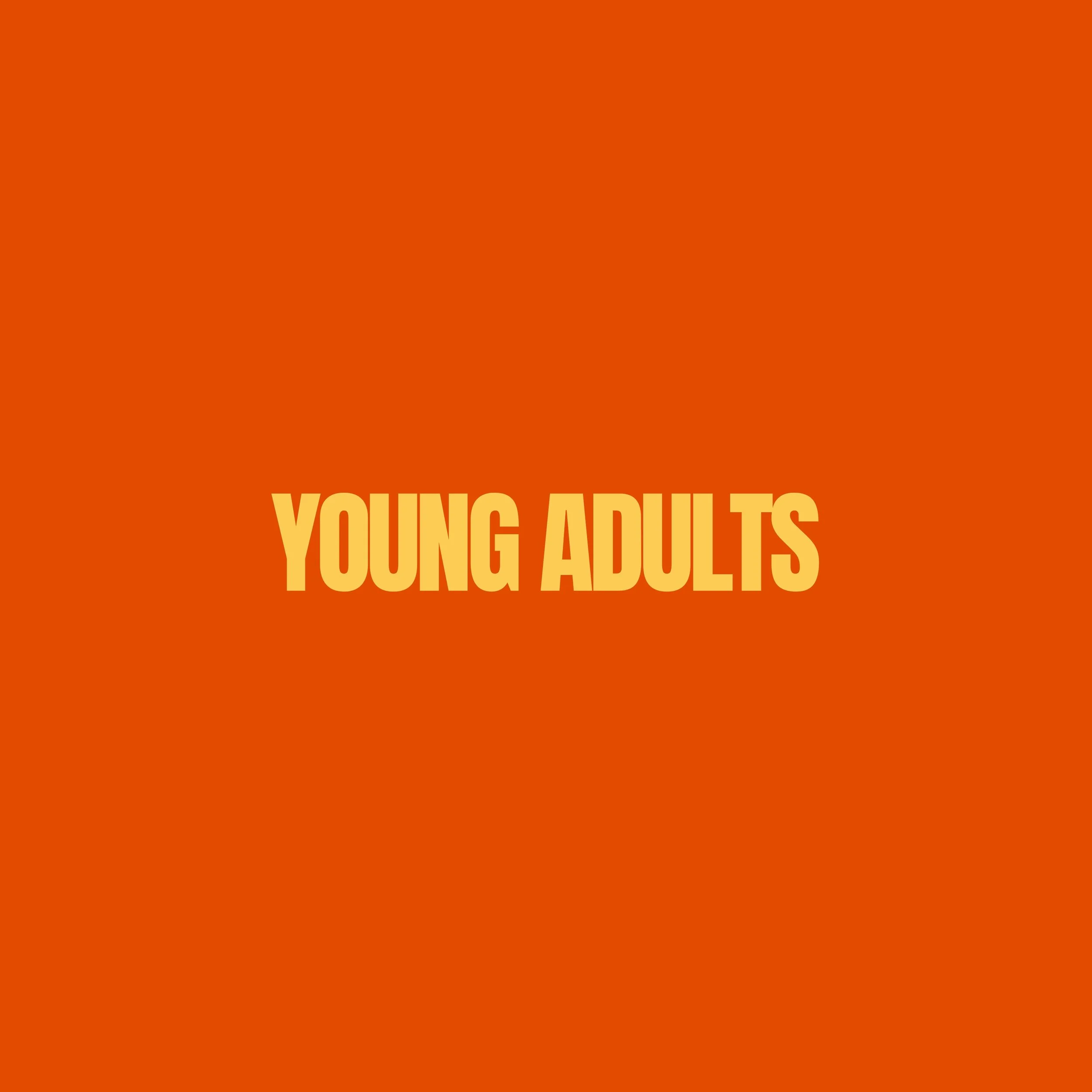 YA Play Around8.jpg