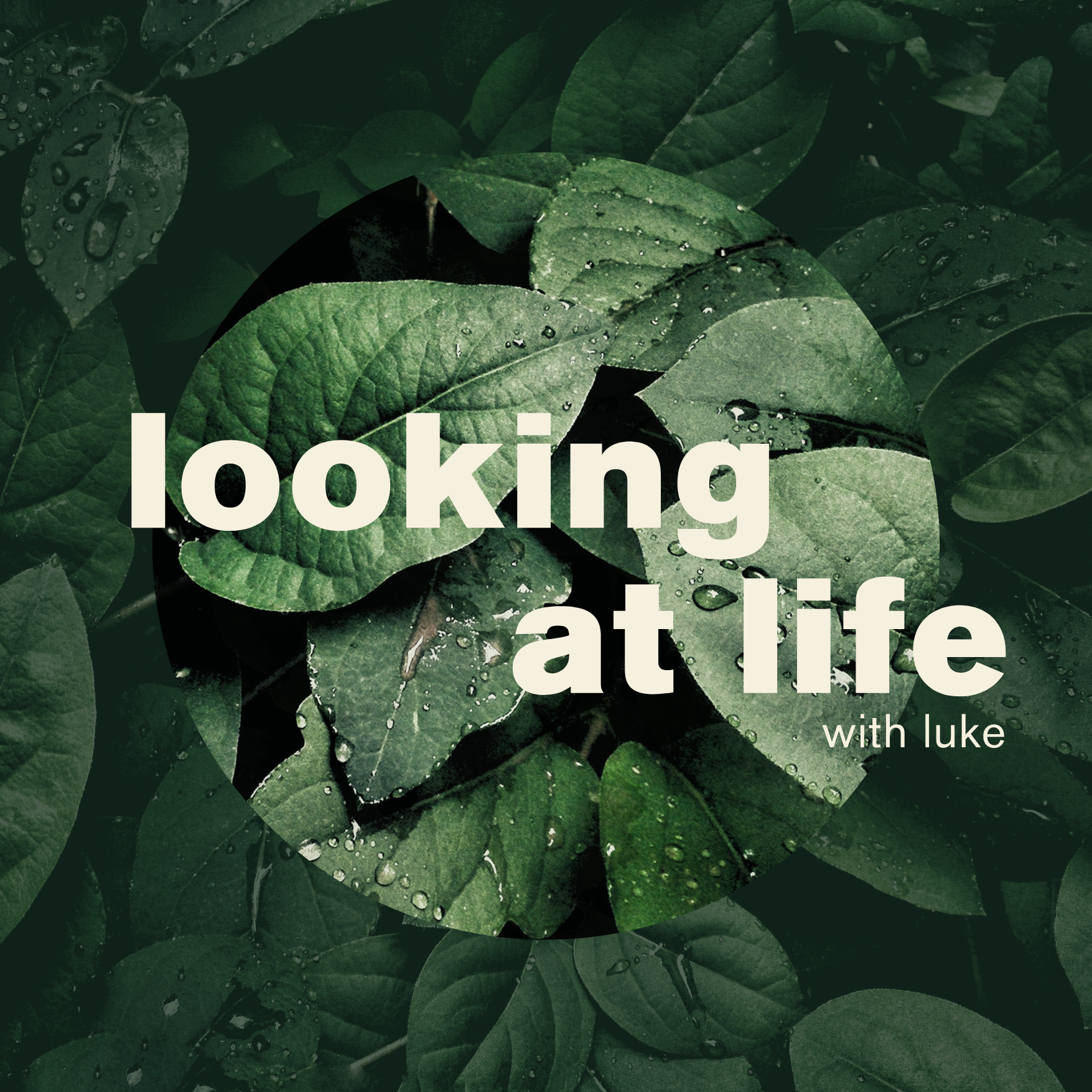 looking at life, with Luke - what do you see? | Stanley Ross